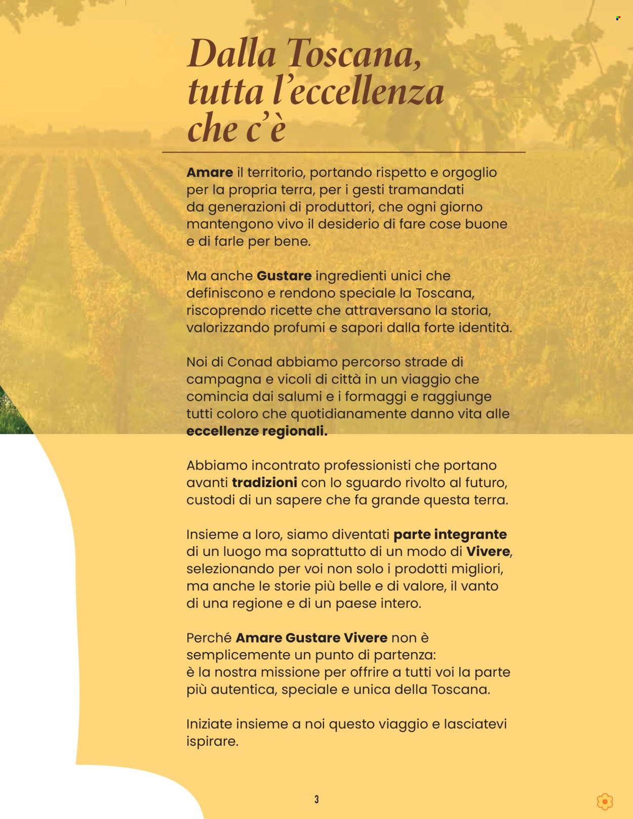 Leták Conad - 23.4.2025 - 7.5.2025. Strana 3