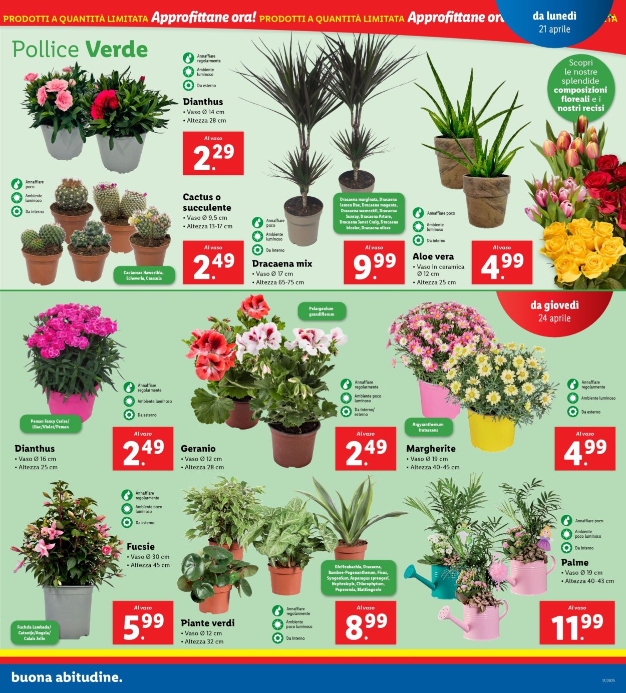 Volantino Lidl - 21/4/2025 - 27/4/2025. Pagina 19