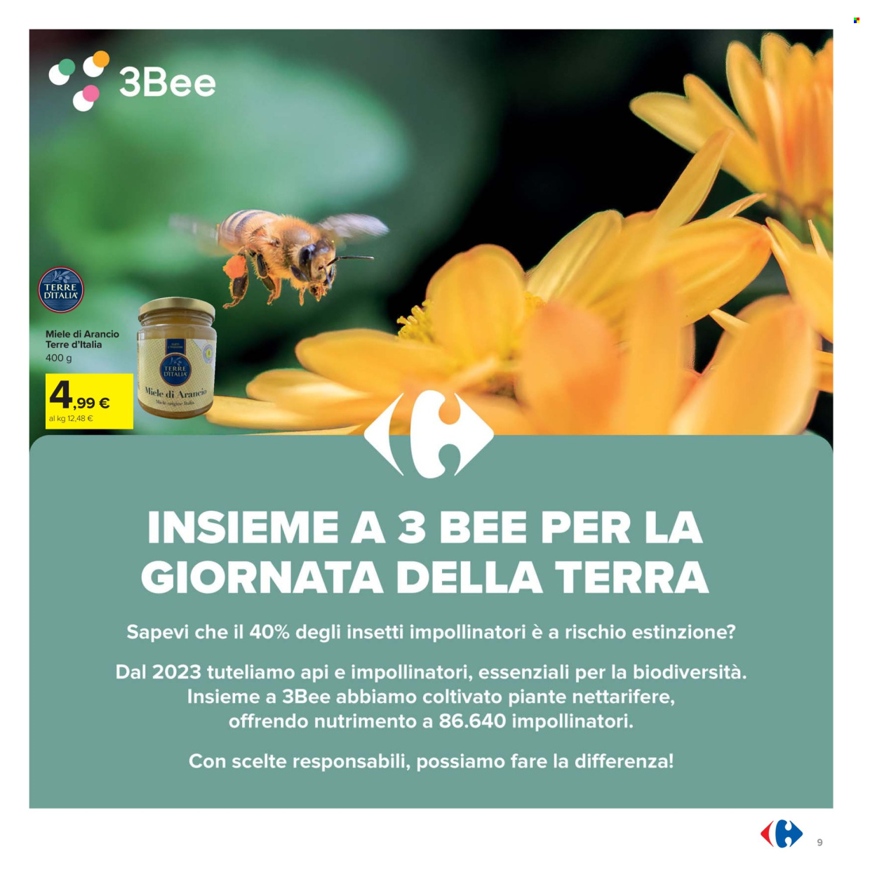 Volantino Carrefour - 22/4/2025 - 4/5/2025. Pagina 9
