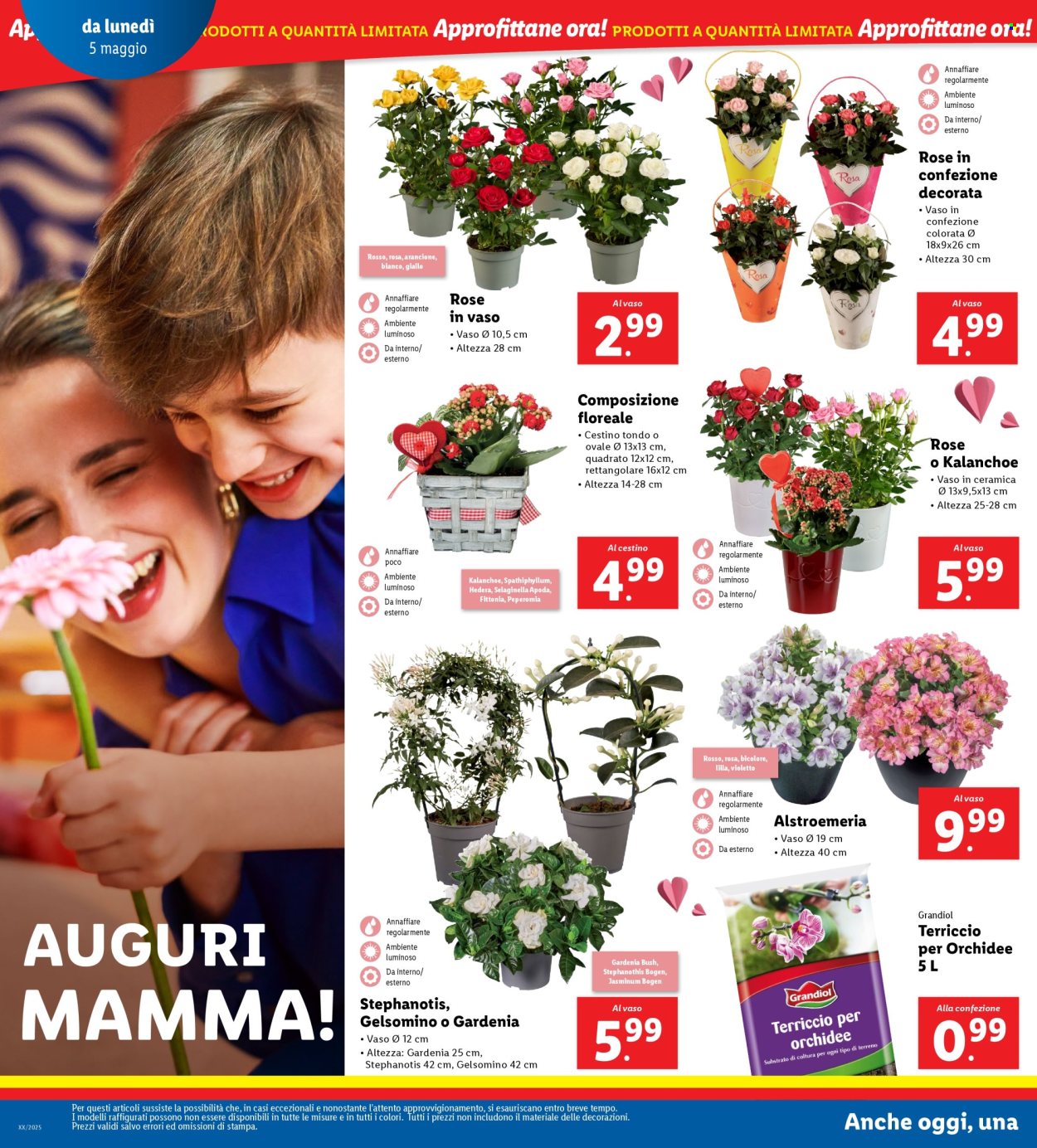 Volantino Lidl - 5/5/2025 - 11/5/2025. Pagina 22