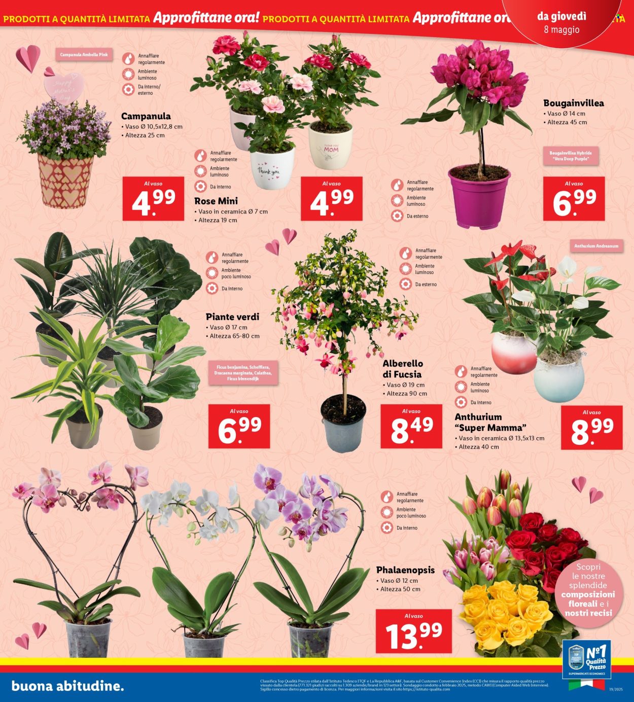 Volantino Lidl - 5/5/2025 - 11/5/2025. Pagina 23