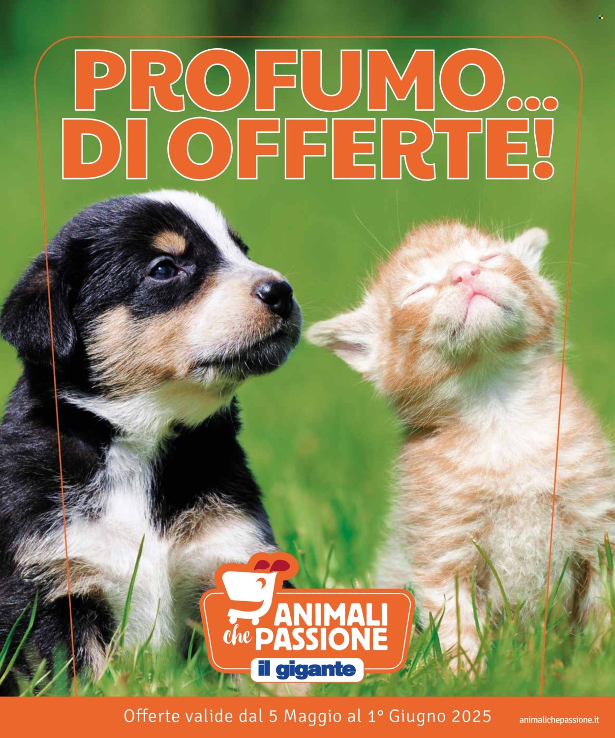 Volantino Il Gigante - 5/5/2025 - 1/6/2025. Pagina 1