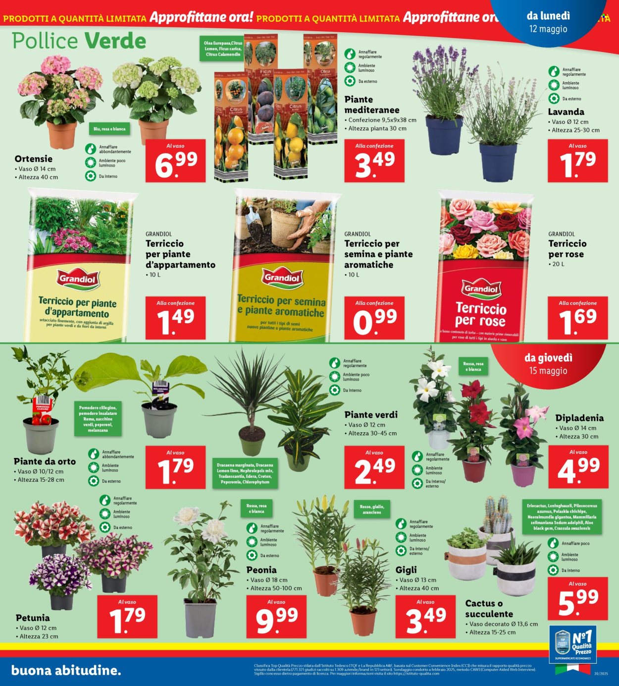 Volantino Lidl - 12/5/2025 - 18/5/2025. Pagina 19