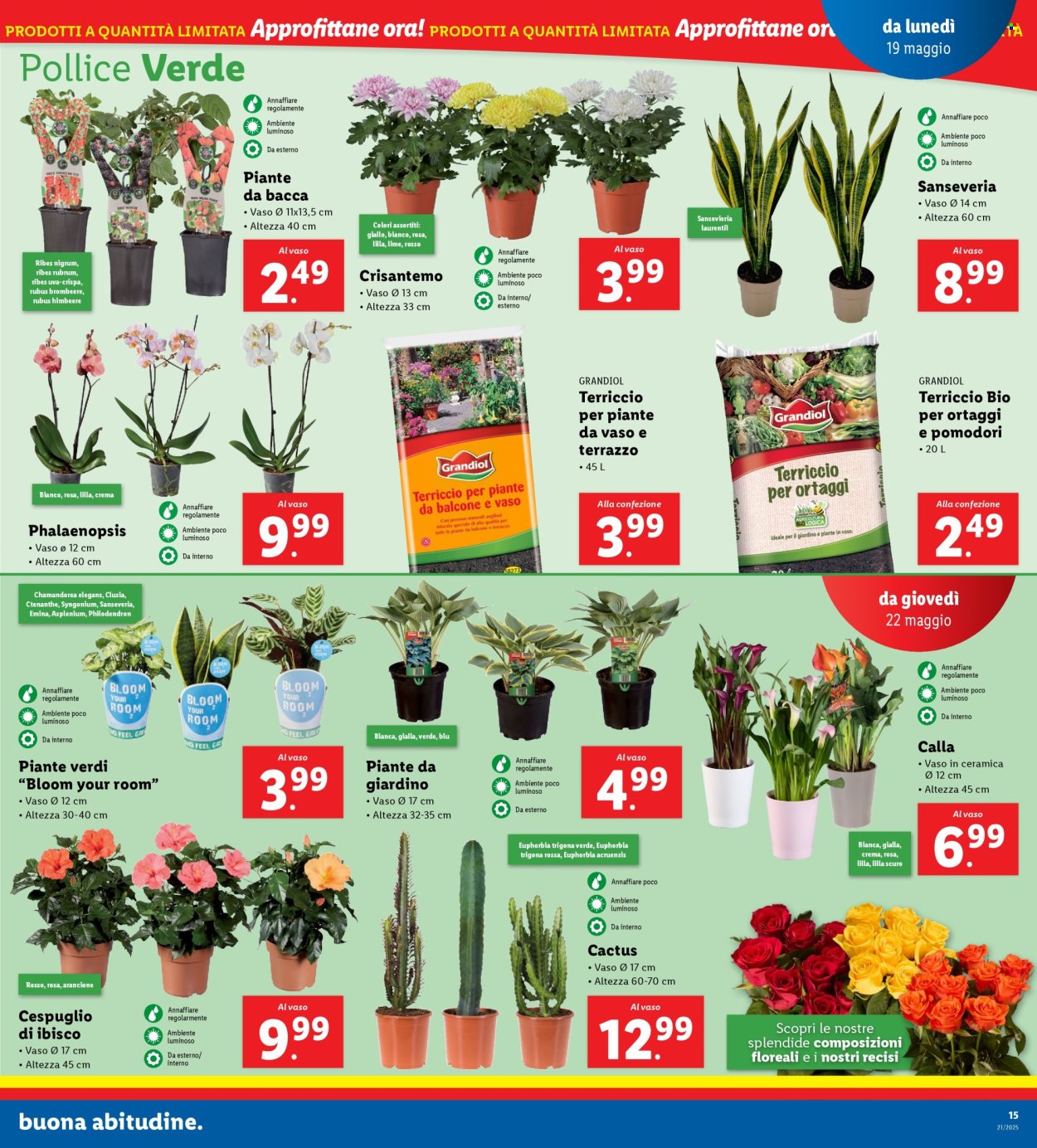 Volantino Lidl - 19/5/2025 - 25/5/2025. Pagina 19