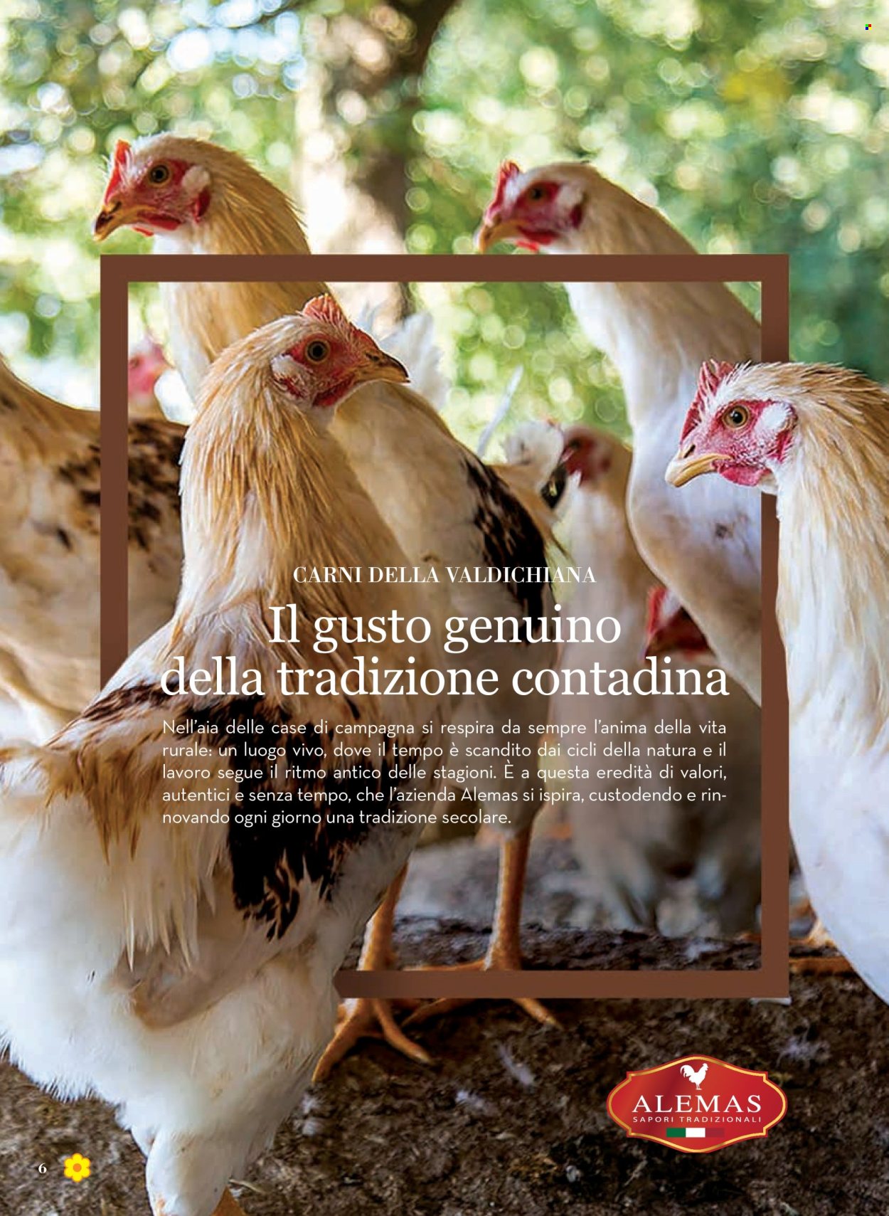 Leták Conad - 5.6.2025 - 18.6.2025. Strana 6