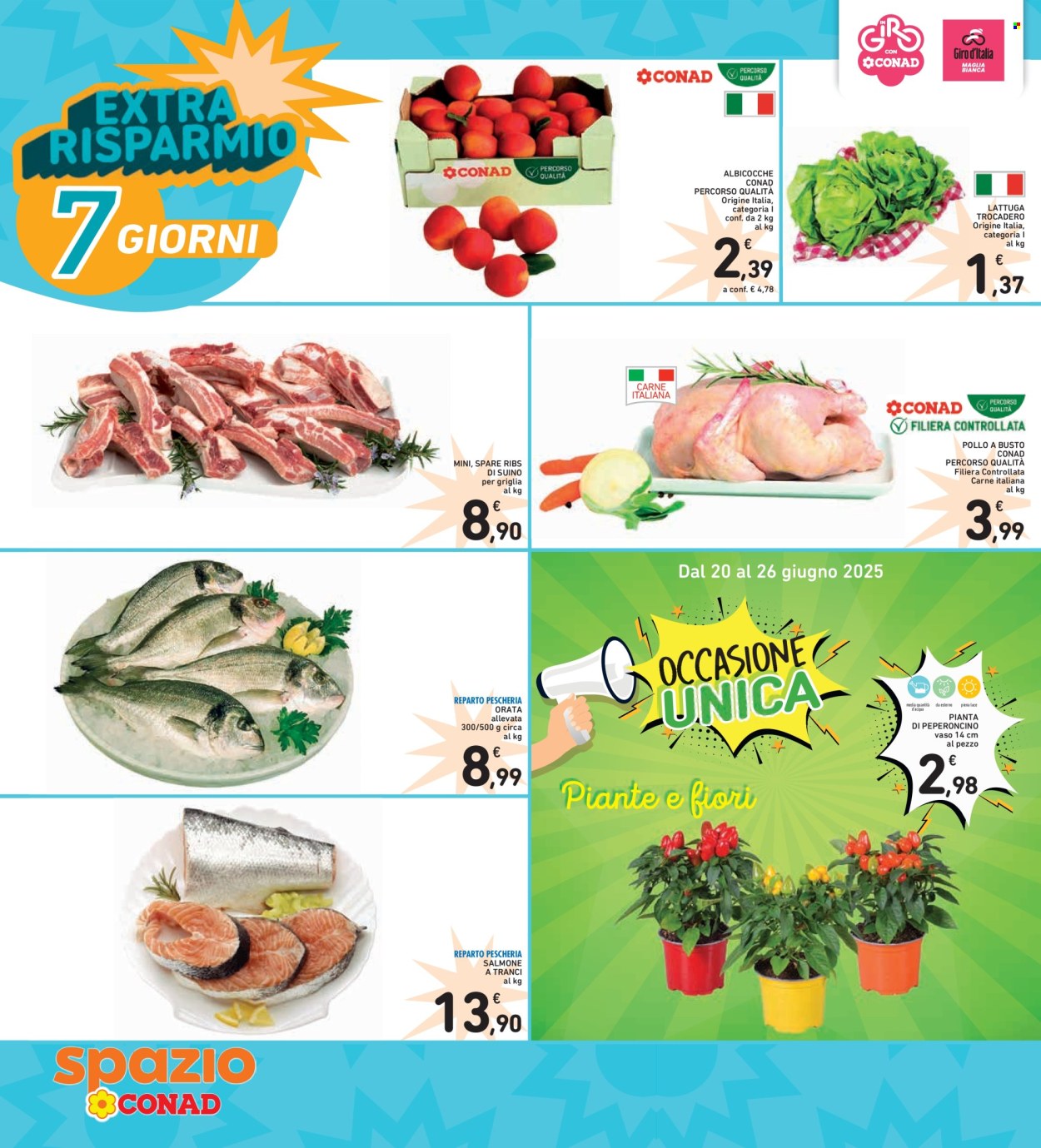 Volantino Spazio Conad - 20/6/2025 - 26/6/2025. Pagina 2