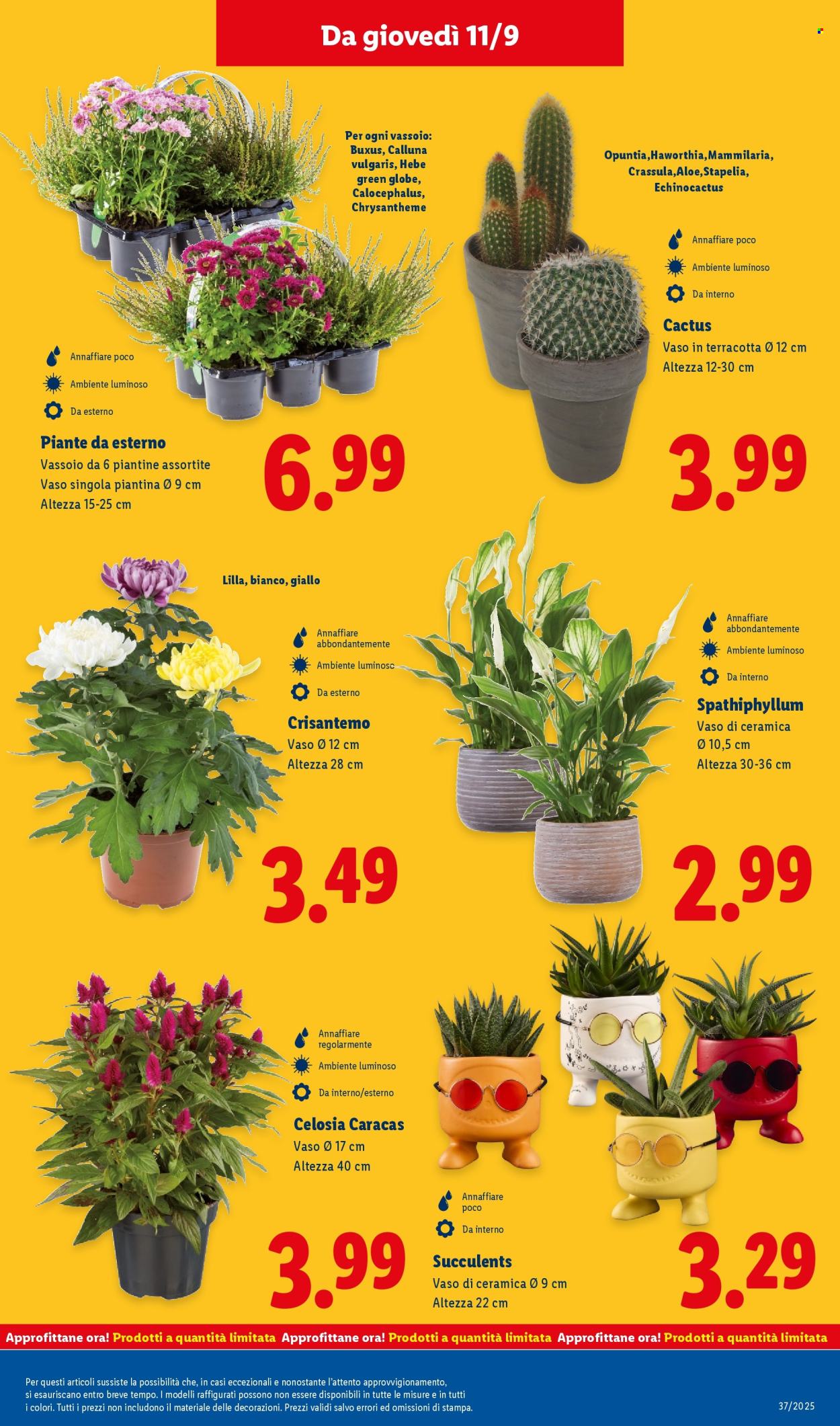 Volantino Lidl - 8/9/2025 - 14/9/2025. Pagina 29