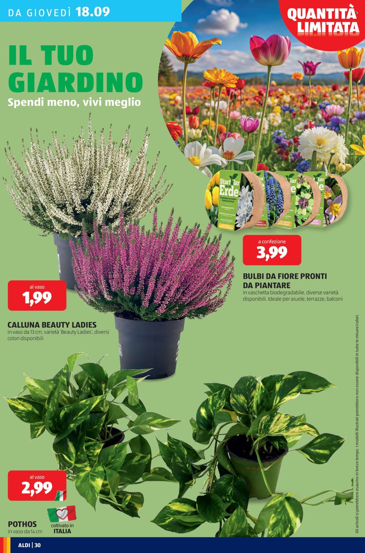 Volantino Aldi - 15/9/2025 - 21/9/2025. Pagina 30