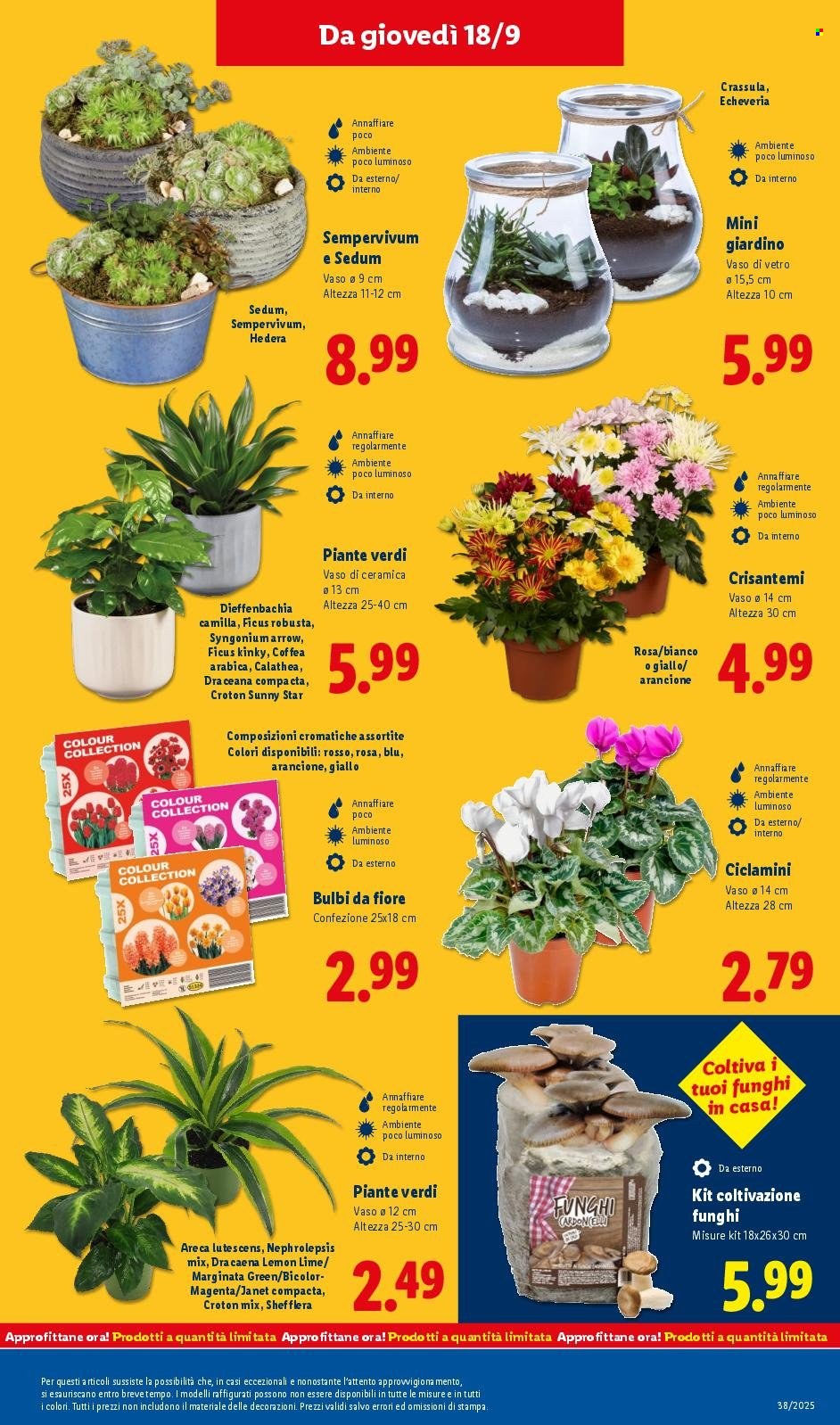 Volantino Lidl - 15/9/2025 - 21/9/2025. Pagina 47