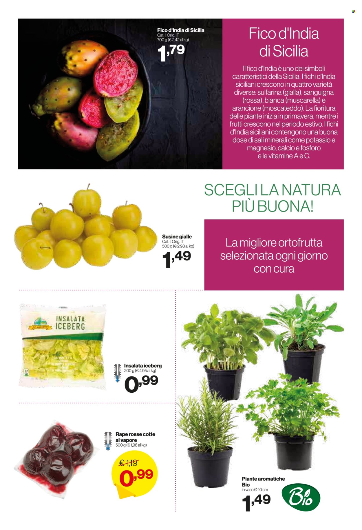 Volantino iN's Mercato - 10/9/2025 - 21/9/2025. Pagina 10