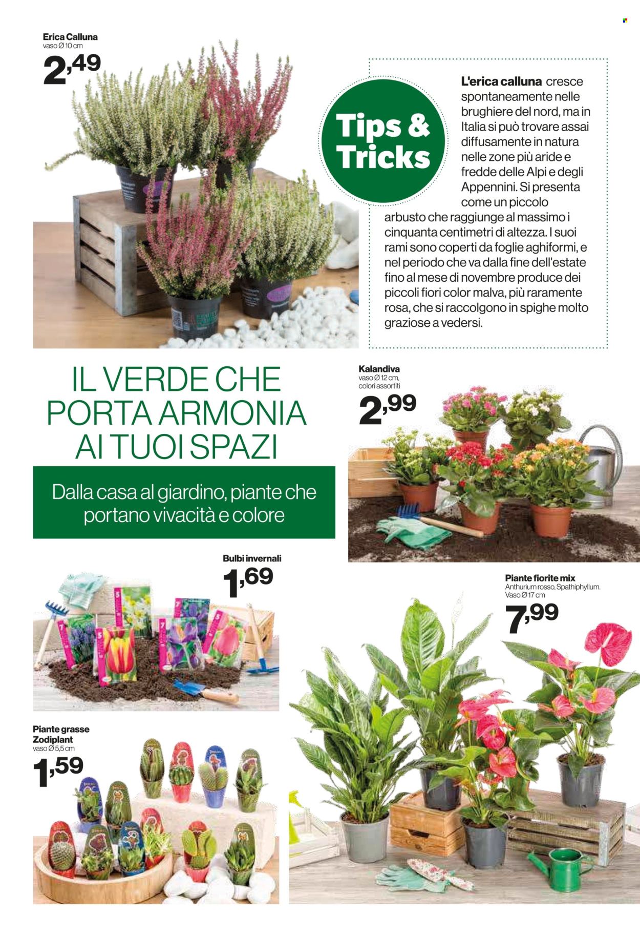 Volantino iN's Mercato - 10/9/2025 - 21/9/2025. Pagina 16
