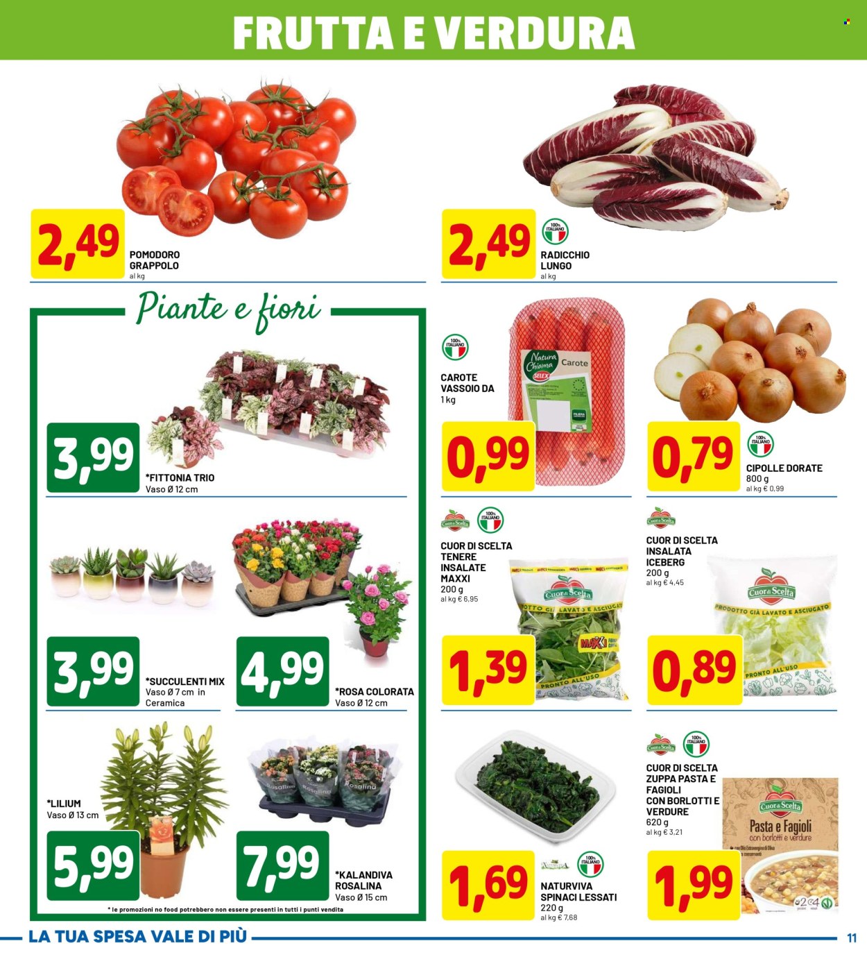 Volantino Dpiù - 6/11/2025 - 15/11/2025. Pagina 11
