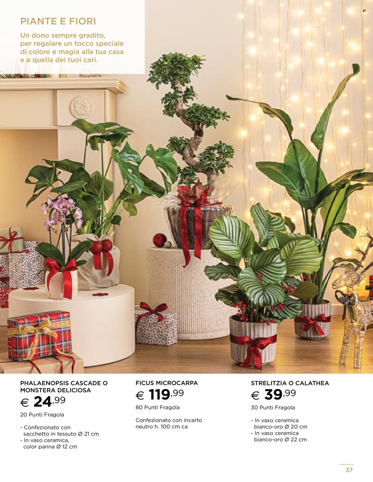 Volantino Esselunga - 13/11/2025 - 31/12/2025. Pagina 37