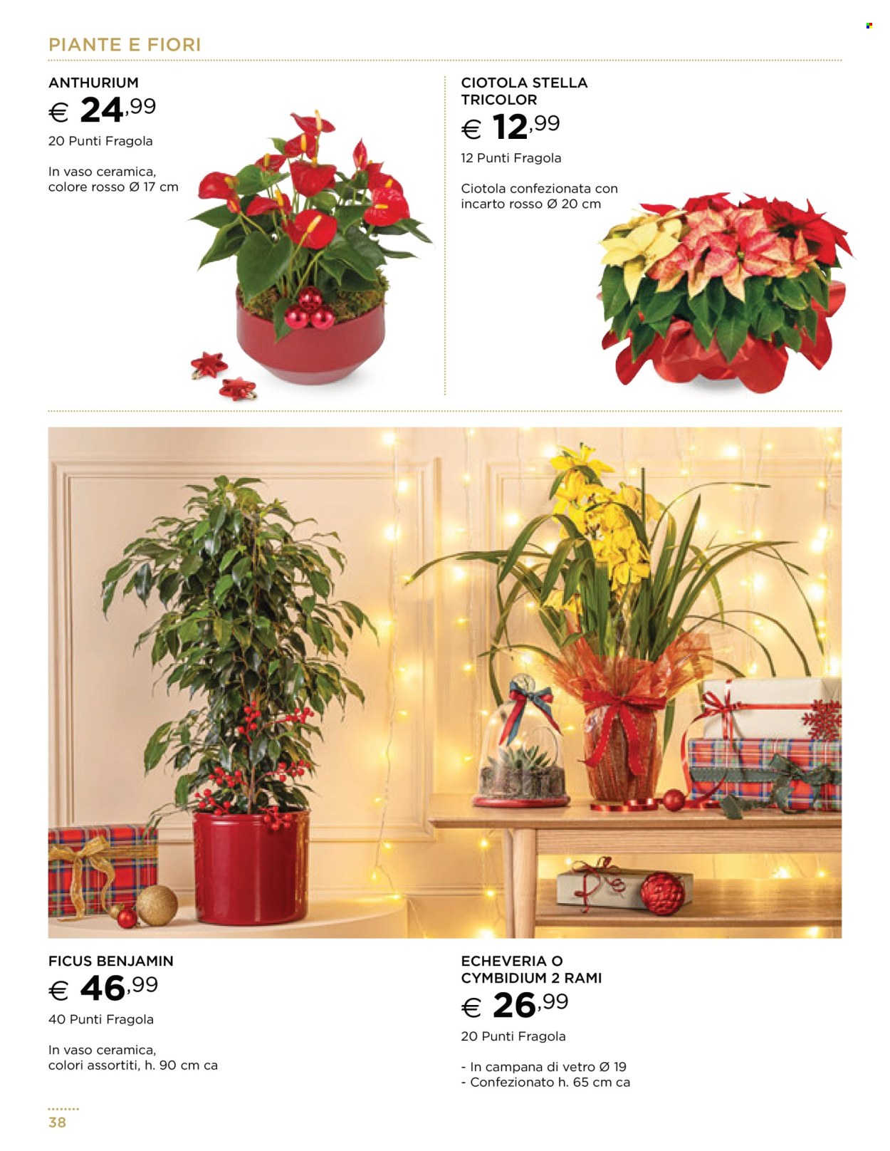 Volantino Esselunga - 13/11/2025 - 31/12/2025. Pagina 38