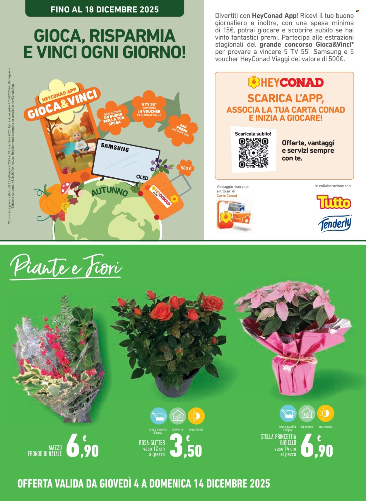 Volantino Conad City - 4/12/2025 - 14/12/2025. Pagina 19