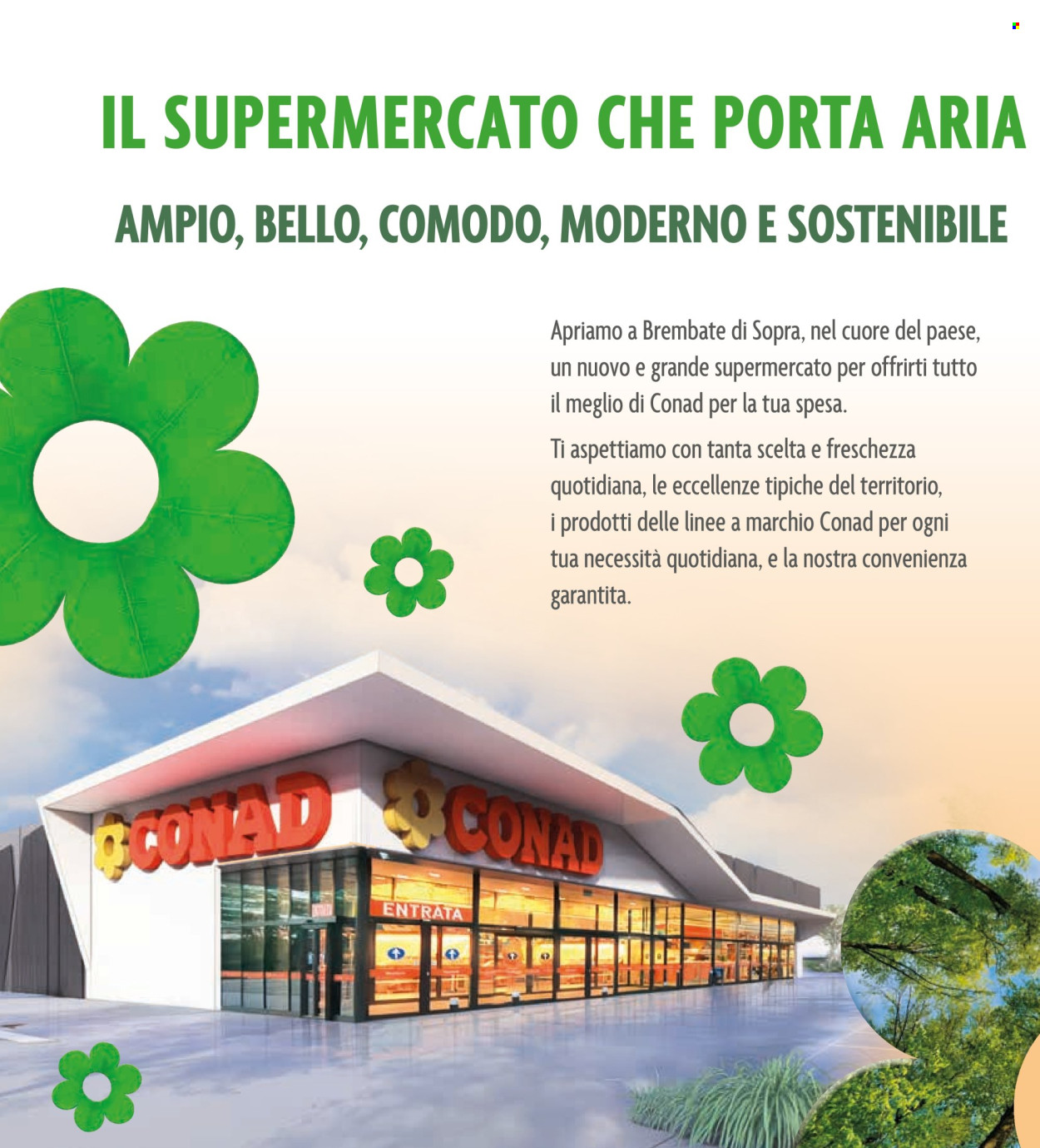 Volantino Conad - 5/12/2025 - 14/12/2025. Pagina 4