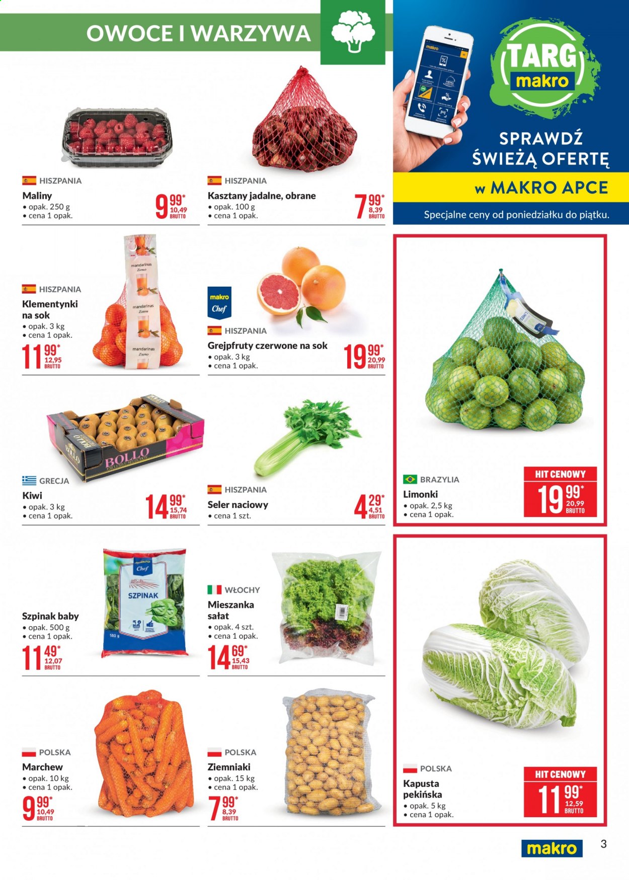 Gazetka Makro - 7.01.2021 - 25.01.2021. Strona 3