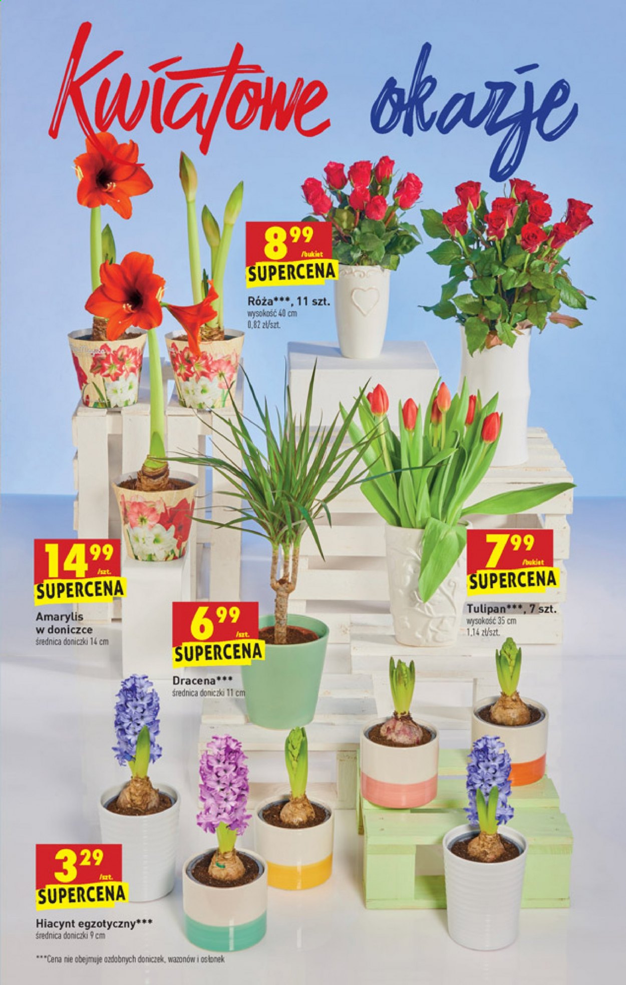 Gazetka Biedronka - 4.01.2021 - 9.01.2021. Strona 53