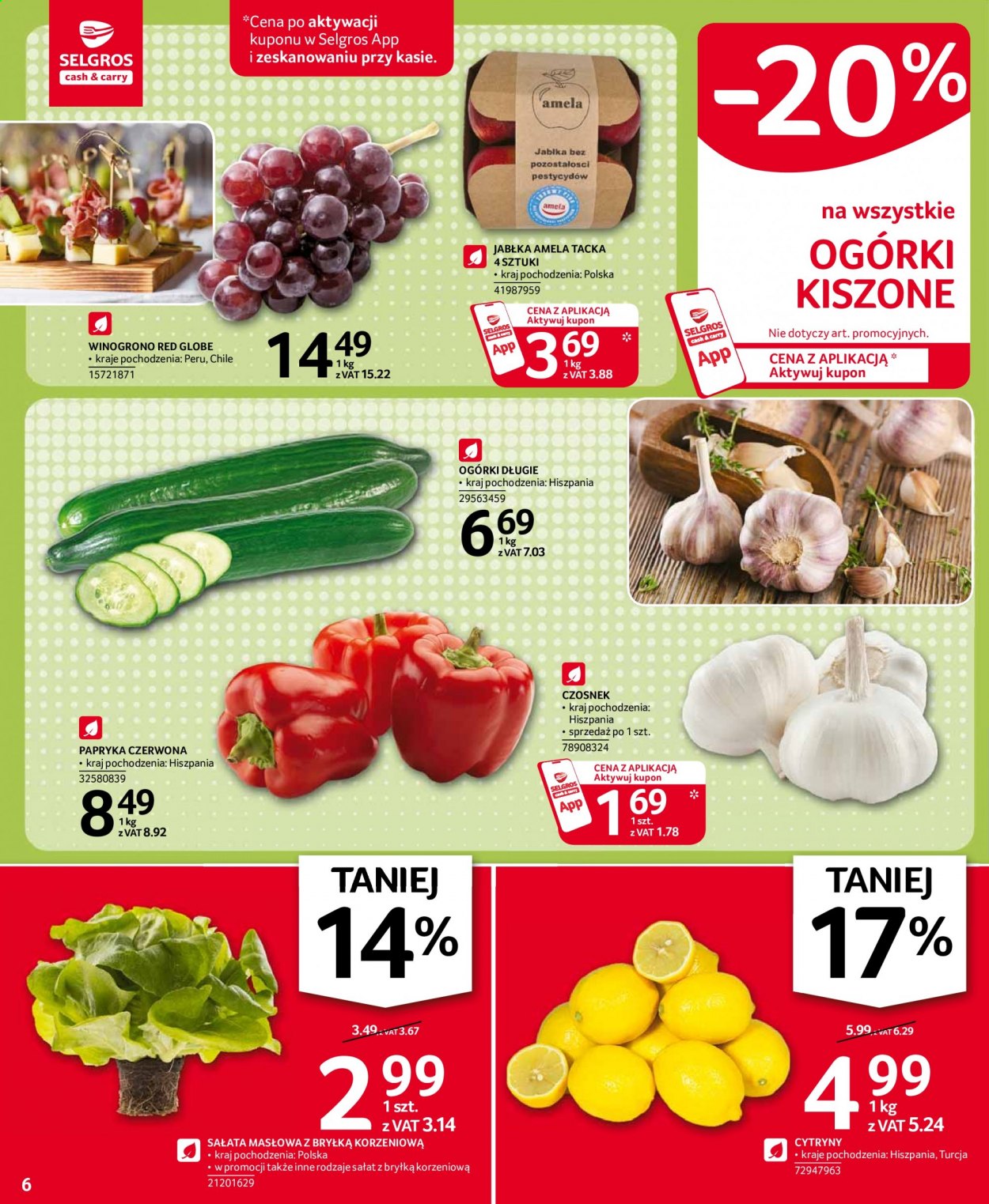 Gazetka Selgros - 7.01.2021 - 20.01.2021. Strona 6
