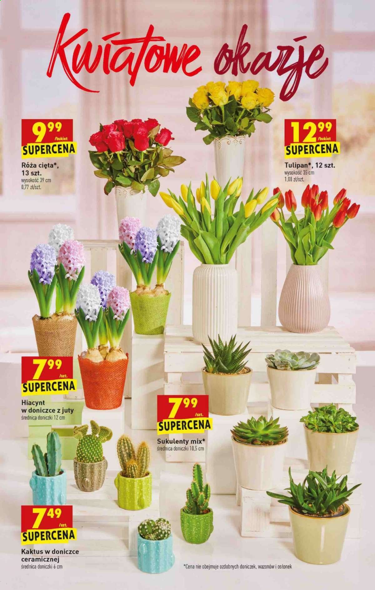 Gazetka Biedronka - 11.01.2021 - 11.01.2021. Strona 56