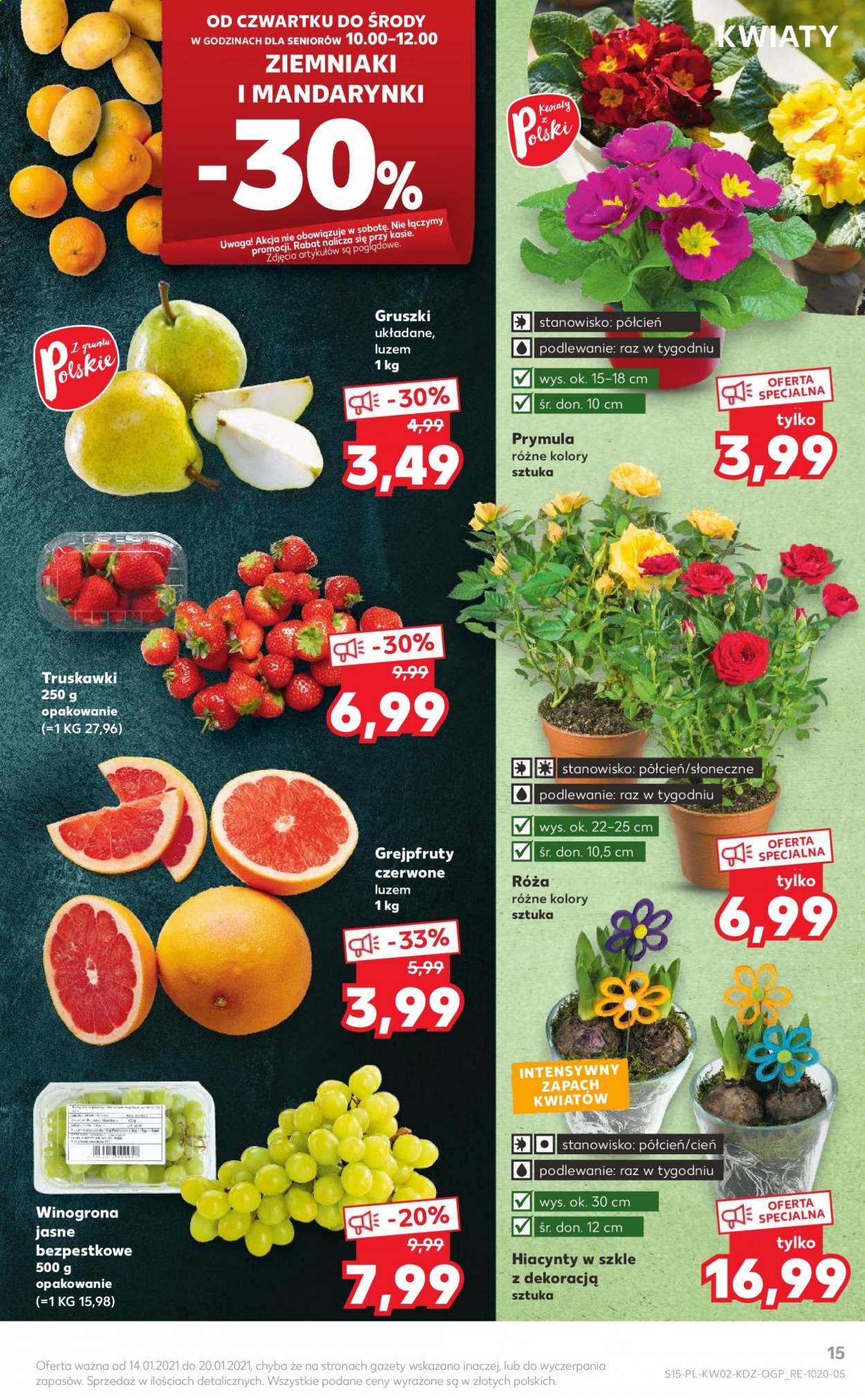 Gazetka Kaufland - 14.01.2021 - 20.01.2021. Strona 15