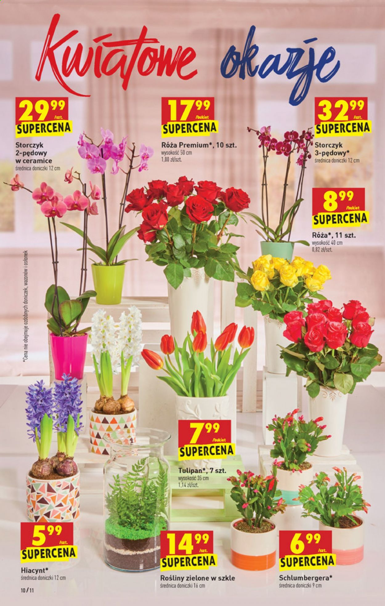 Gazetka Biedronka - 14.01.2021 - 20.01.2021. Strona 10