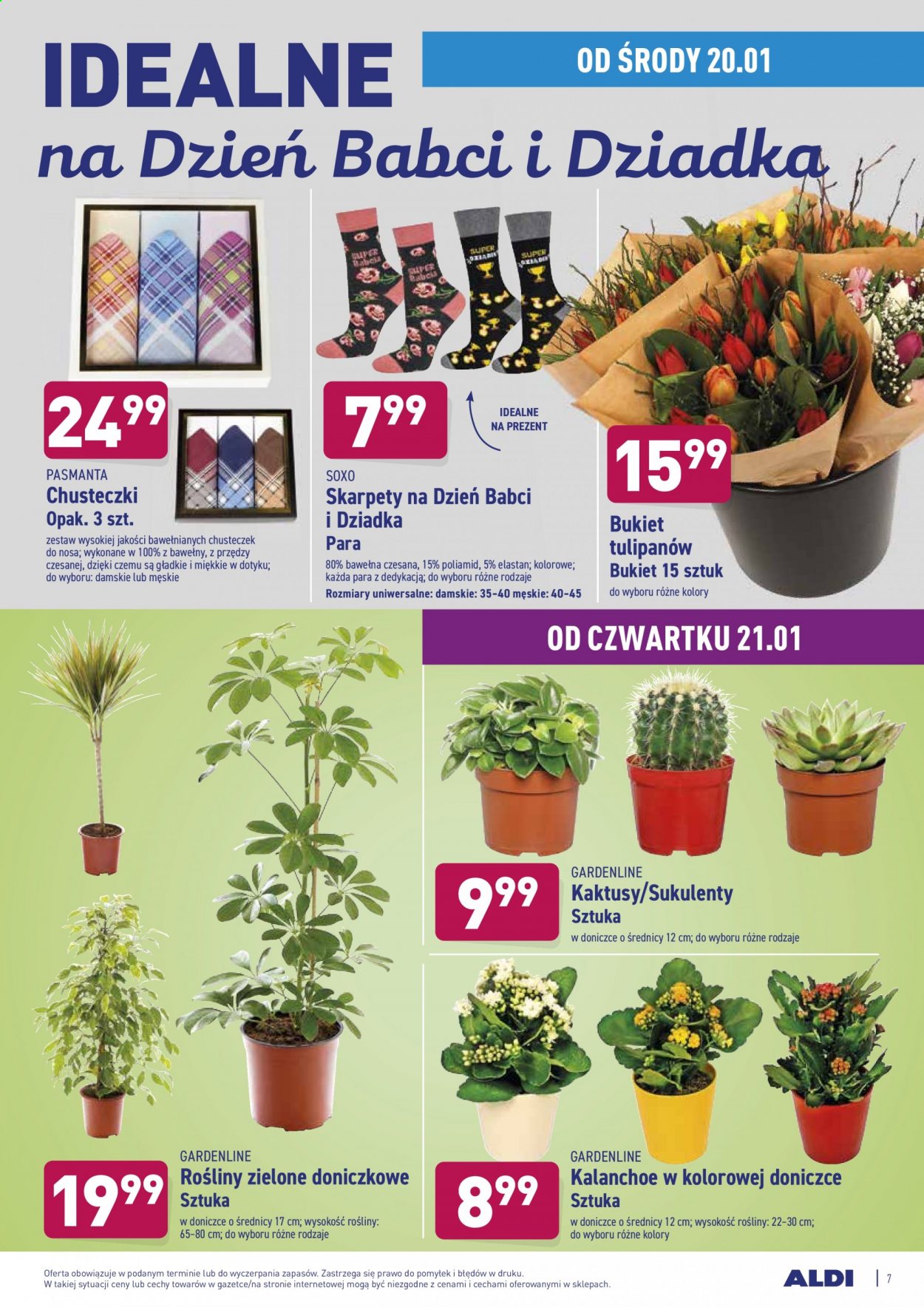 Gazetka ALDI - 20.01.2021 - 23.01.2021. Strona 7