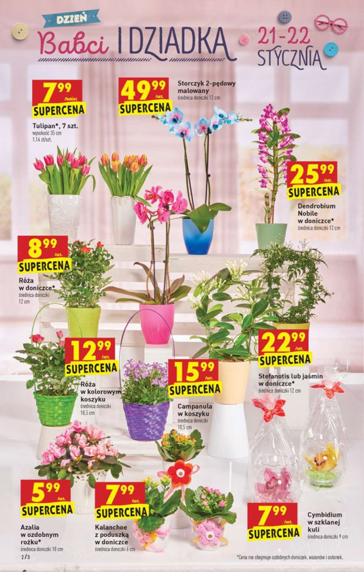 Gazetka Biedronka - 18.01.2021 - 18.01.2021. Strona 2