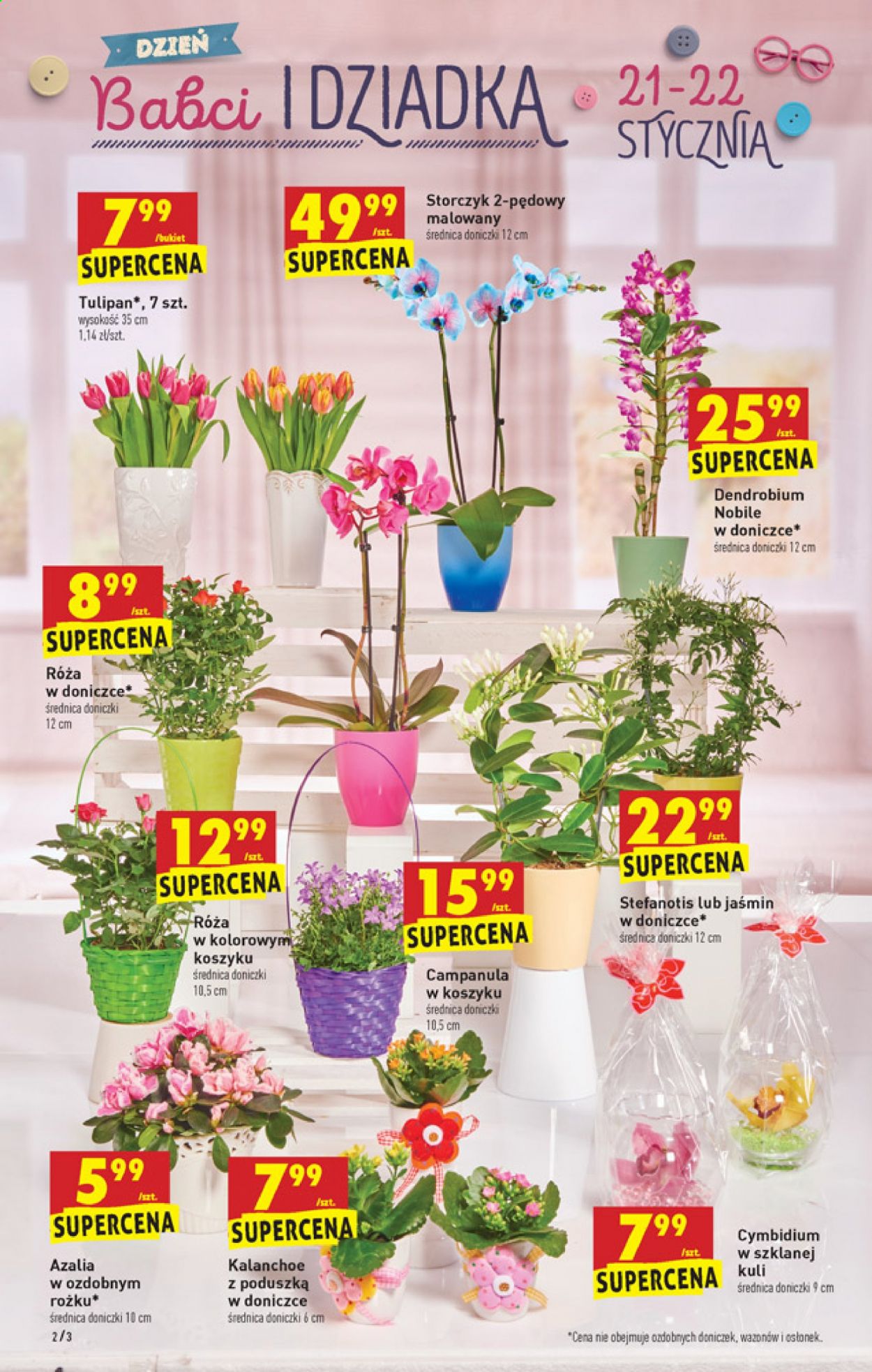Gazetka Biedronka - 18.01.2021 - 23.01.2021. Strona 2