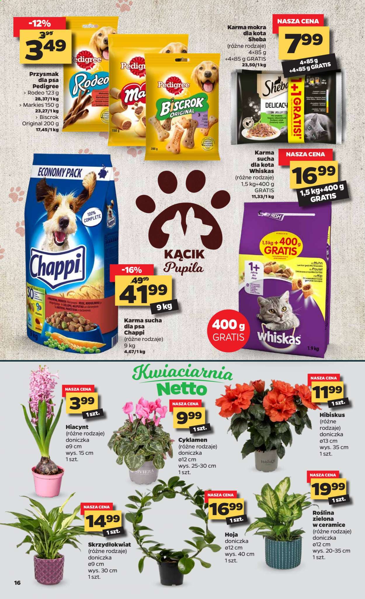 Gazetka Netto - 25.01.2021 - 31.01.2021. Strona 16