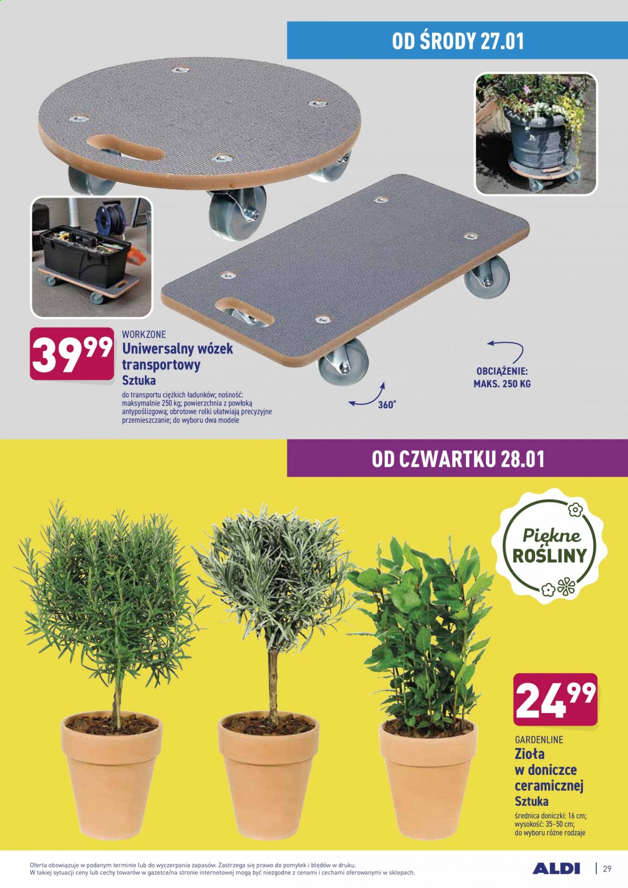 Gazetka ALDI - 25.01.2021 - 31.01.2021. Strona 29