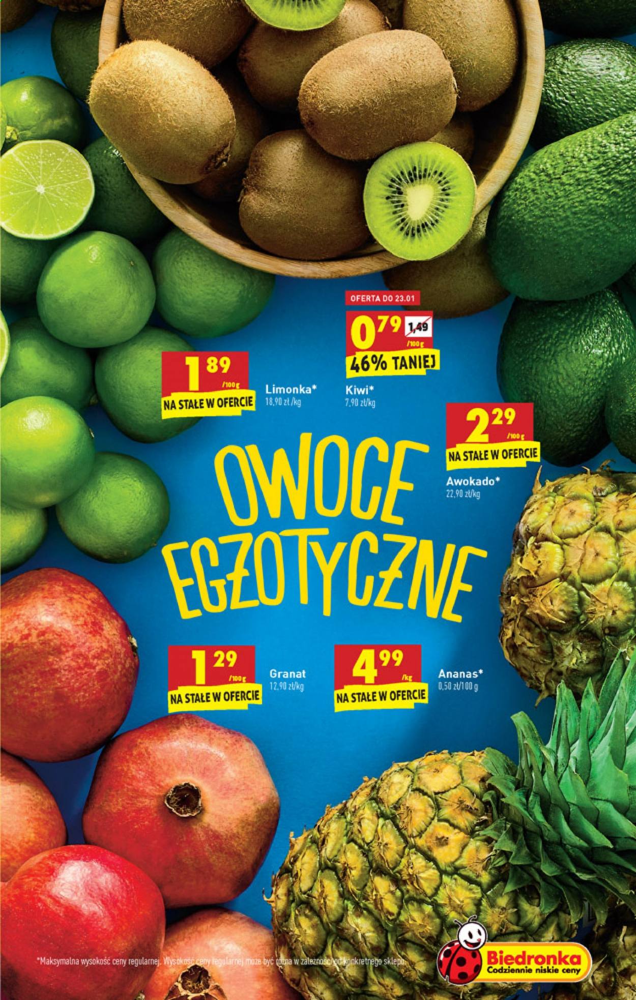 Gazetka Biedronka - 21.01.2021 - 27.01.2021. Strona 11