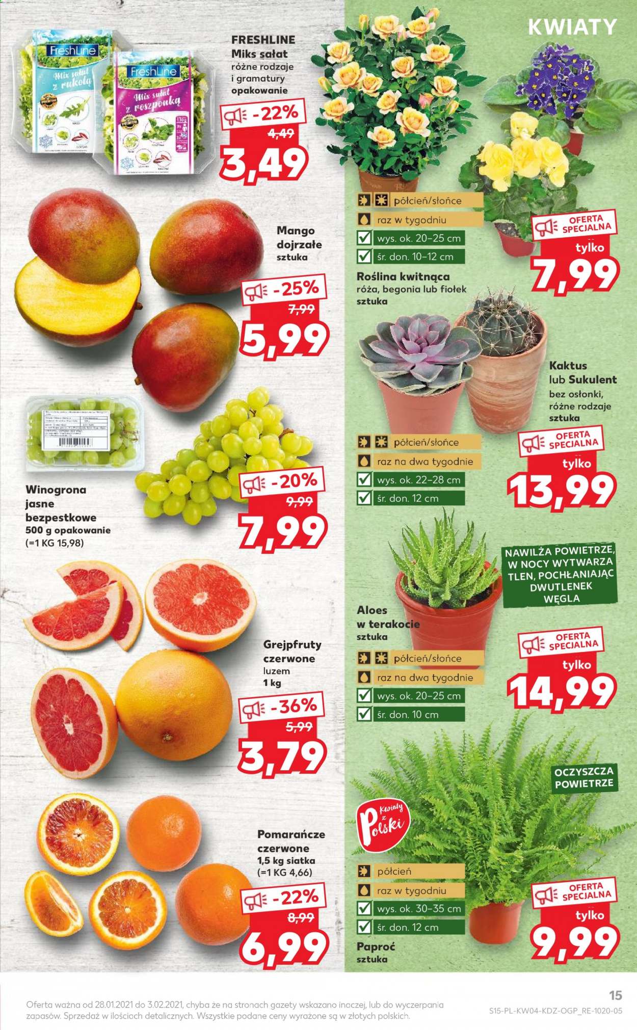 Gazetka Kaufland - 28.01.2021 - 3.02.2021. Strona 15