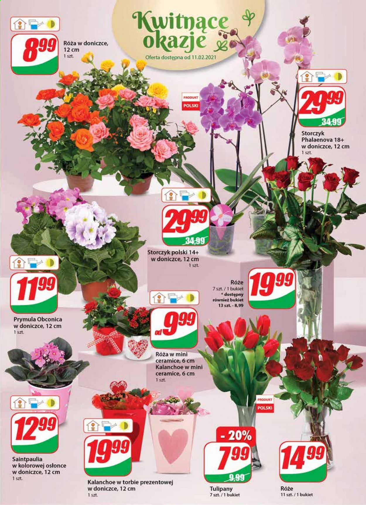 Gazetka Dino - 10.02.2021 - 16.02.2021. Strona 17