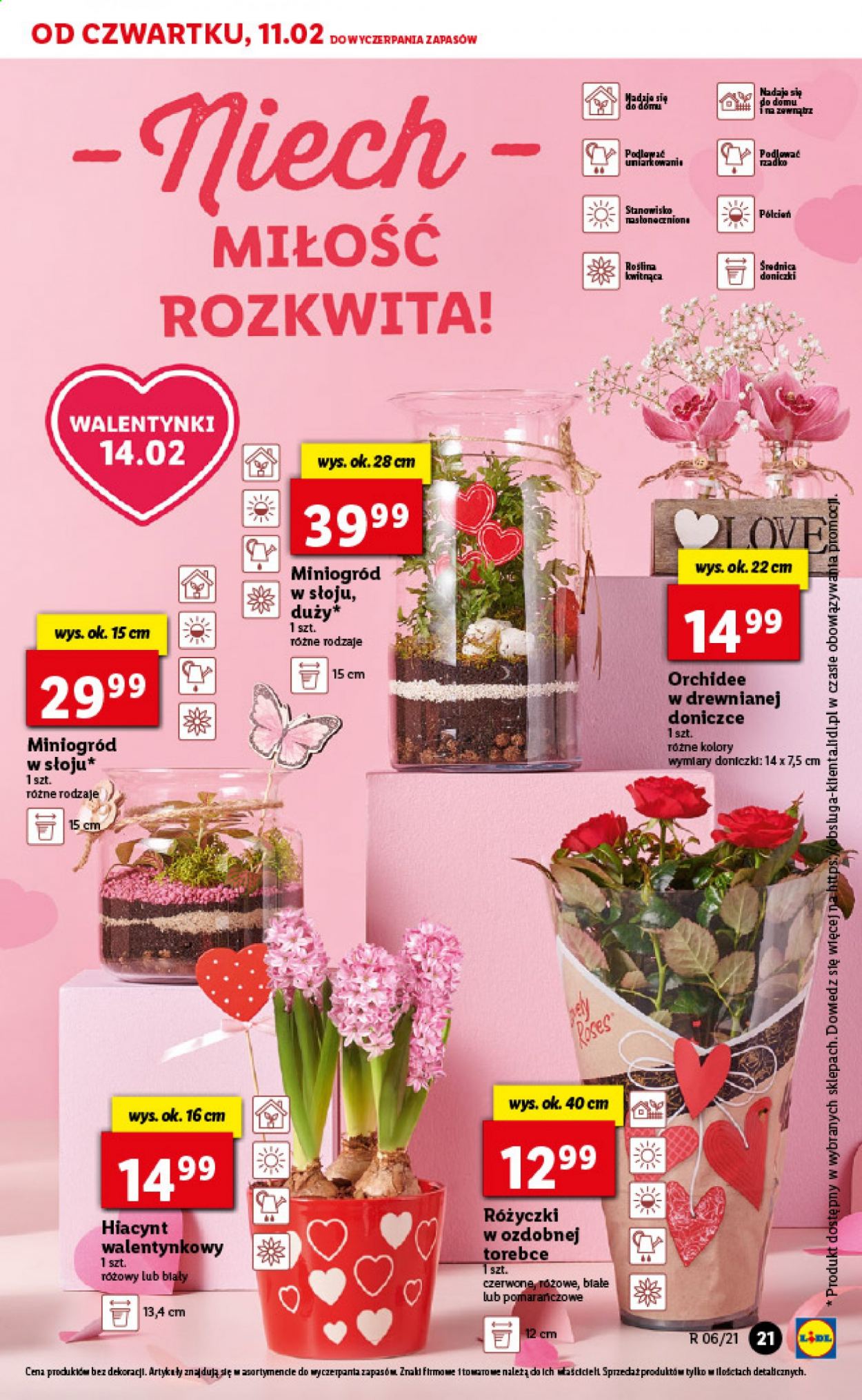 Gazetka Lidl - 11.02.2021 - 13.02.2021. Strona 21
