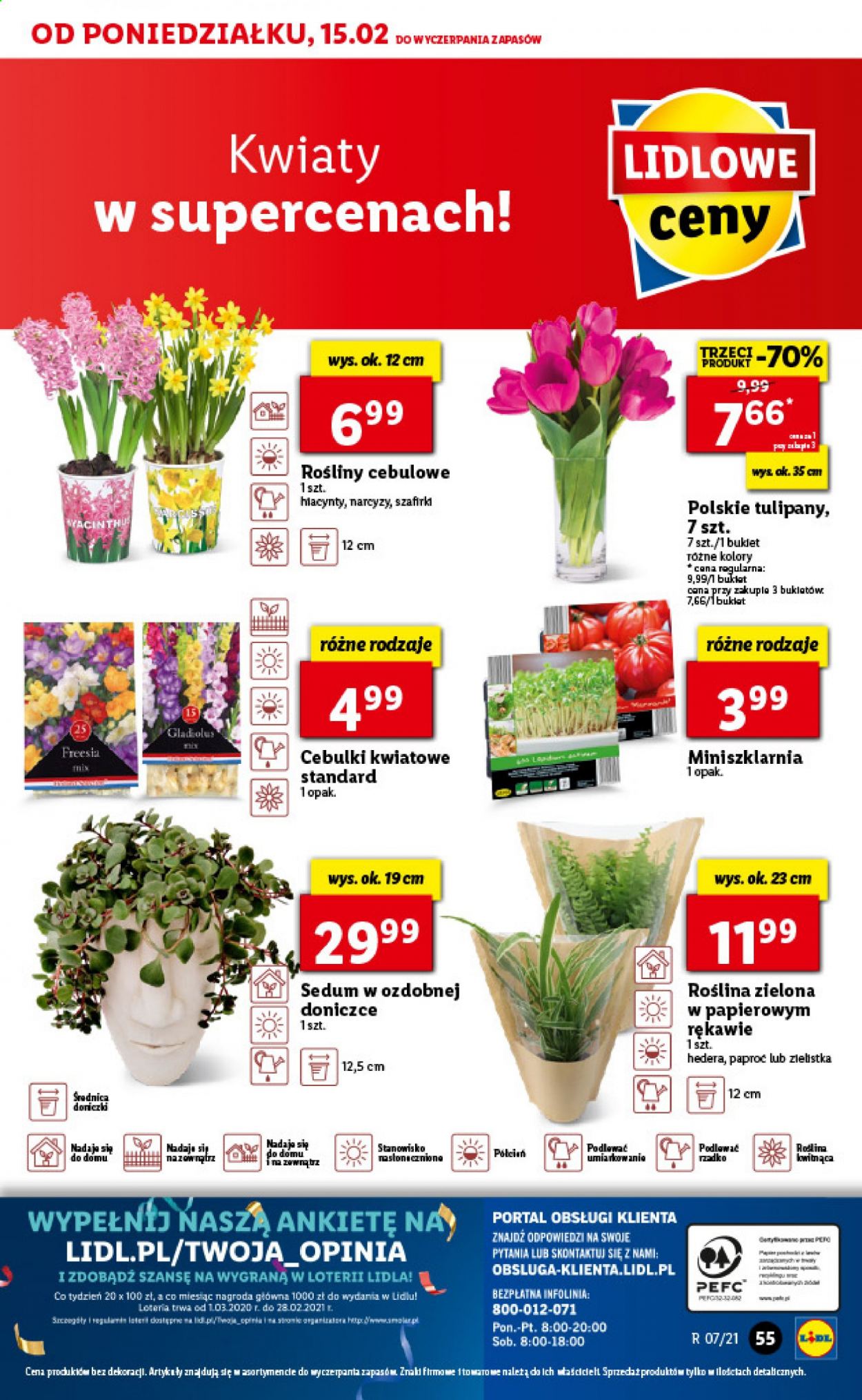 Gazetka Lidl - 15.02.2021 - 17.02.2021. Strona 55
