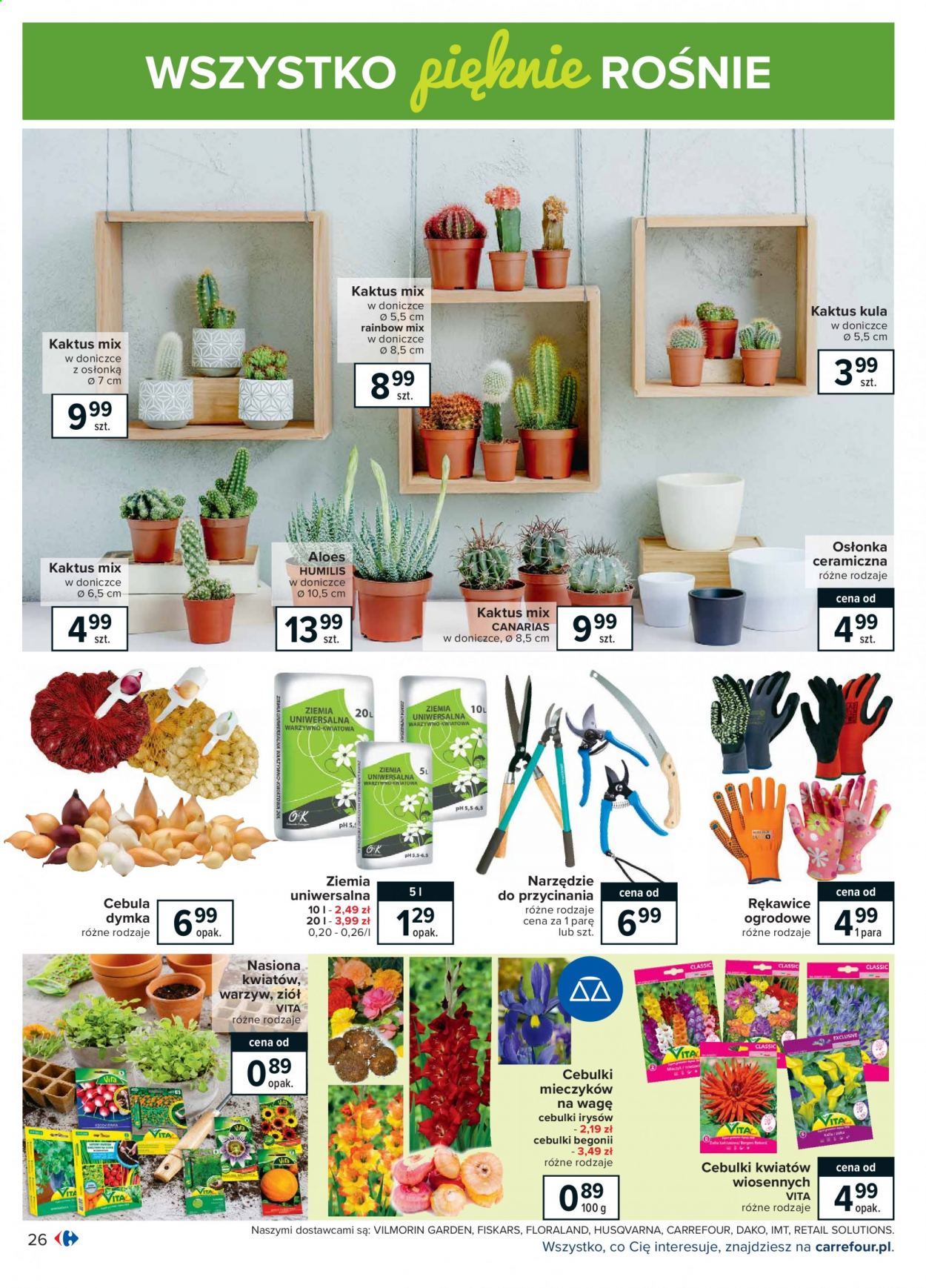 Gazetka Carrefour - 16.02.2021 - 27.02.2021. Strona 26