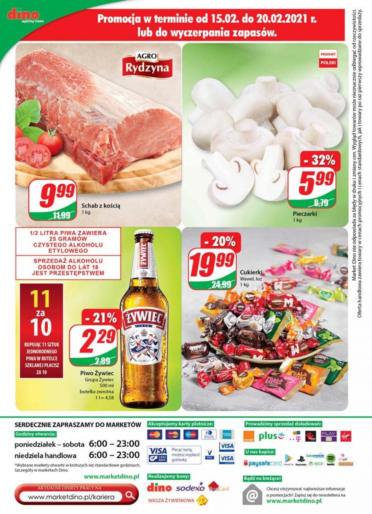 Gazetka Dino - 17.02.2021 - 23.02.2021. Strona 20