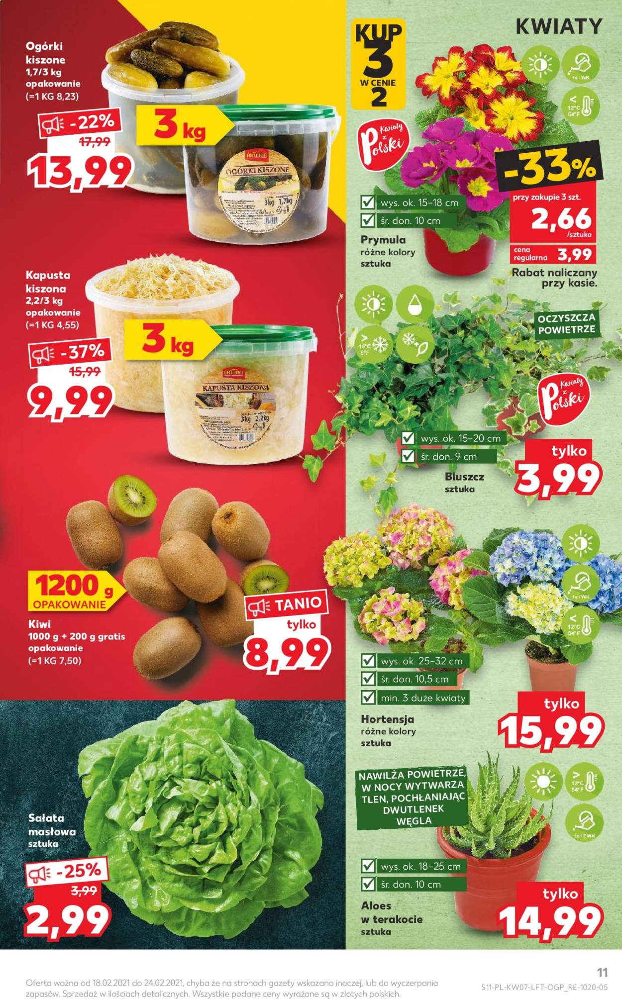 Gazetka Kaufland - 18.02.2021 - 24.02.2021. Strona 11