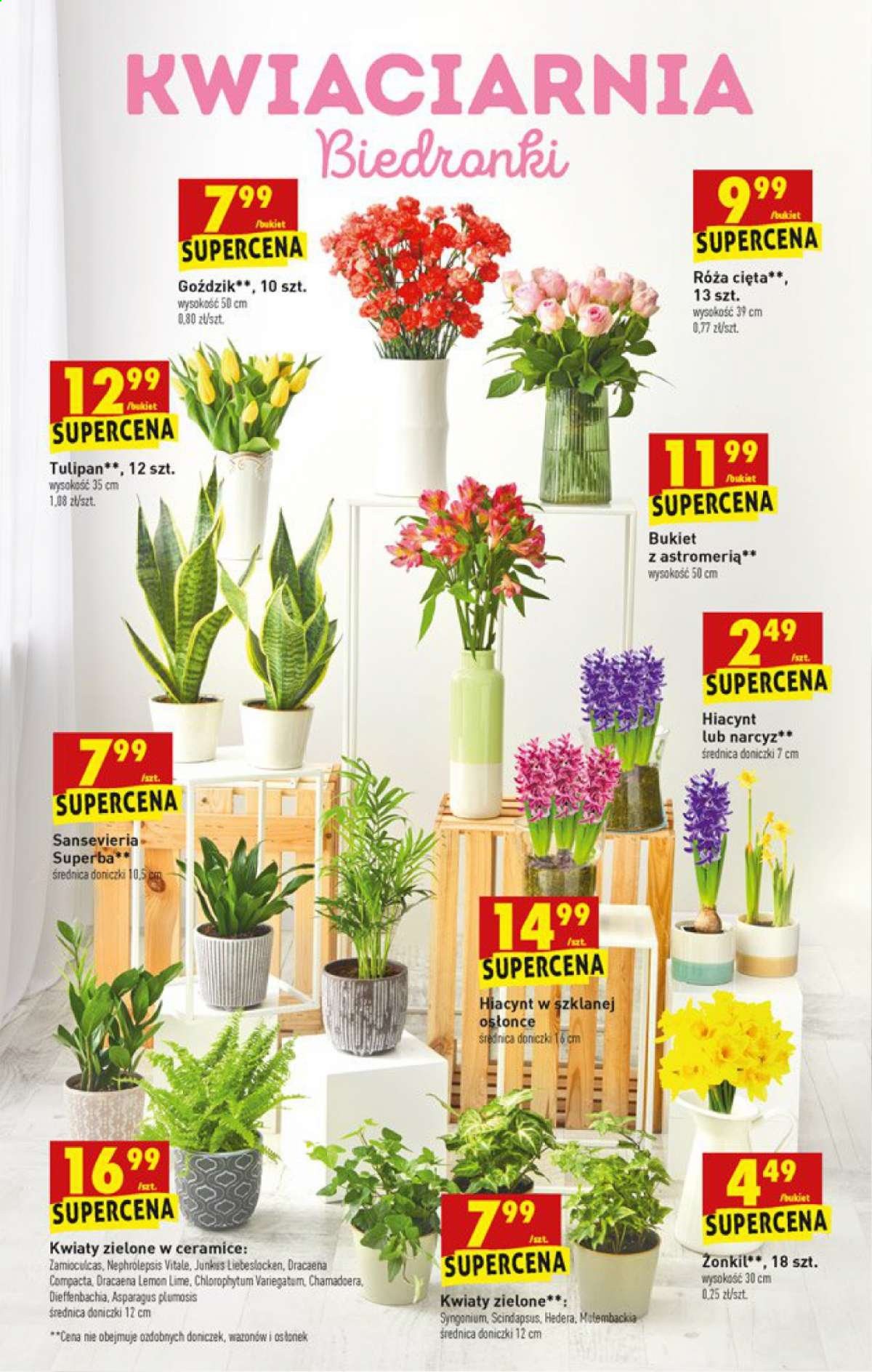 Gazetka Biedronka - 22.02.2021 - 22.02.2021. Strona 61