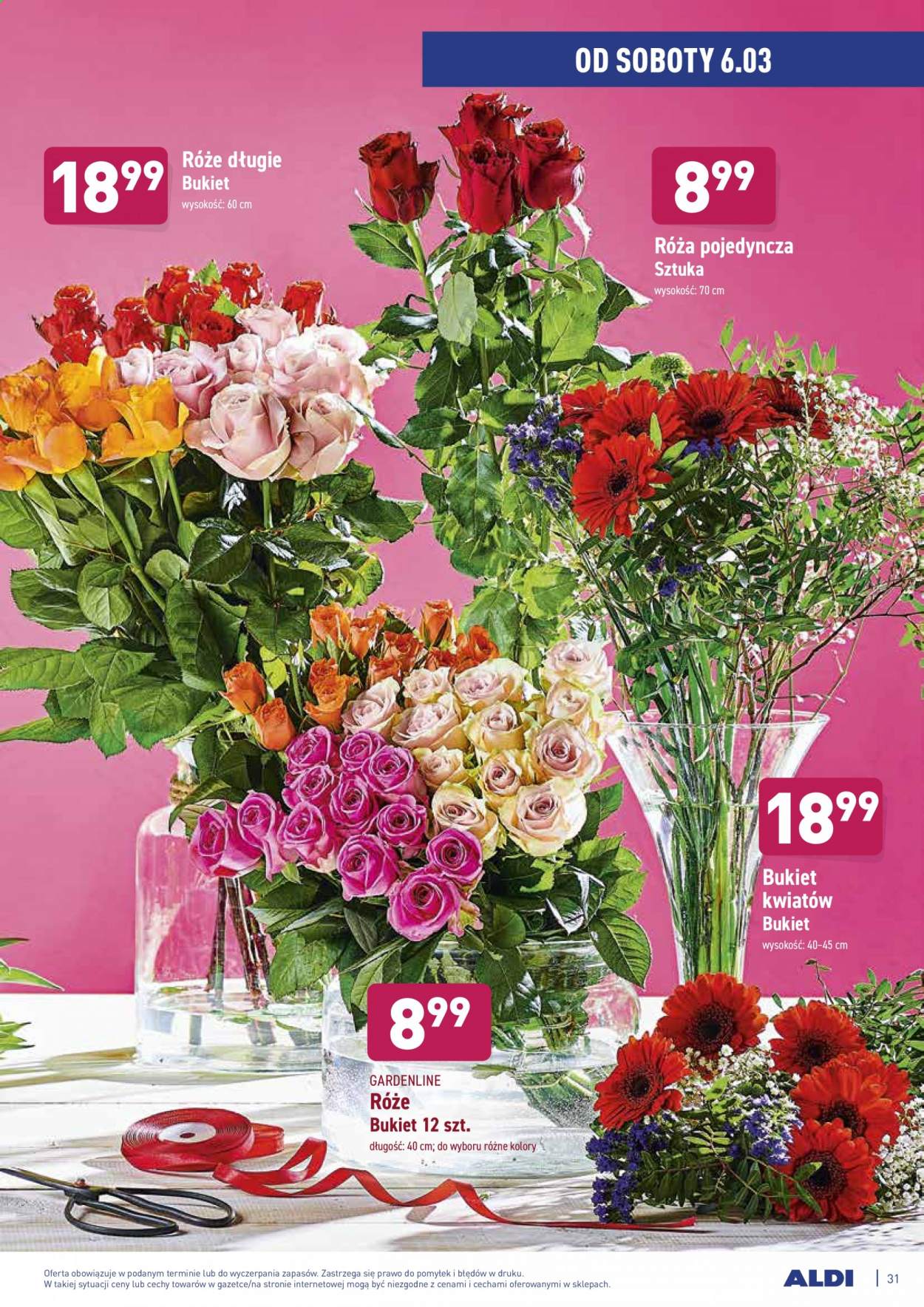 Gazetka ALDI - 1.03.2021 - 6.03.2021. Strona 31