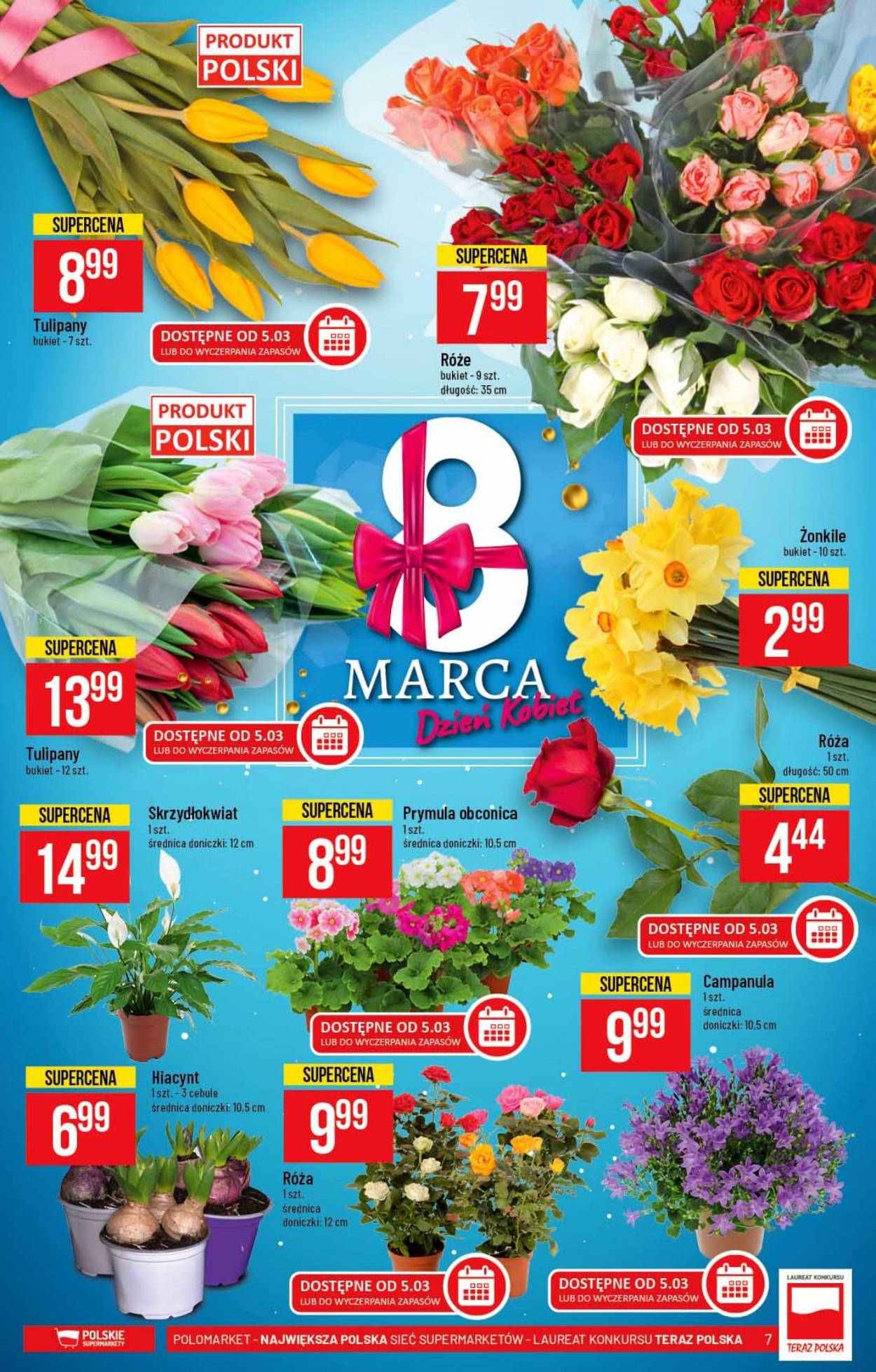 Gazetka Polomarket - 3.03.2021 - 9.03.2021. Strona 7
