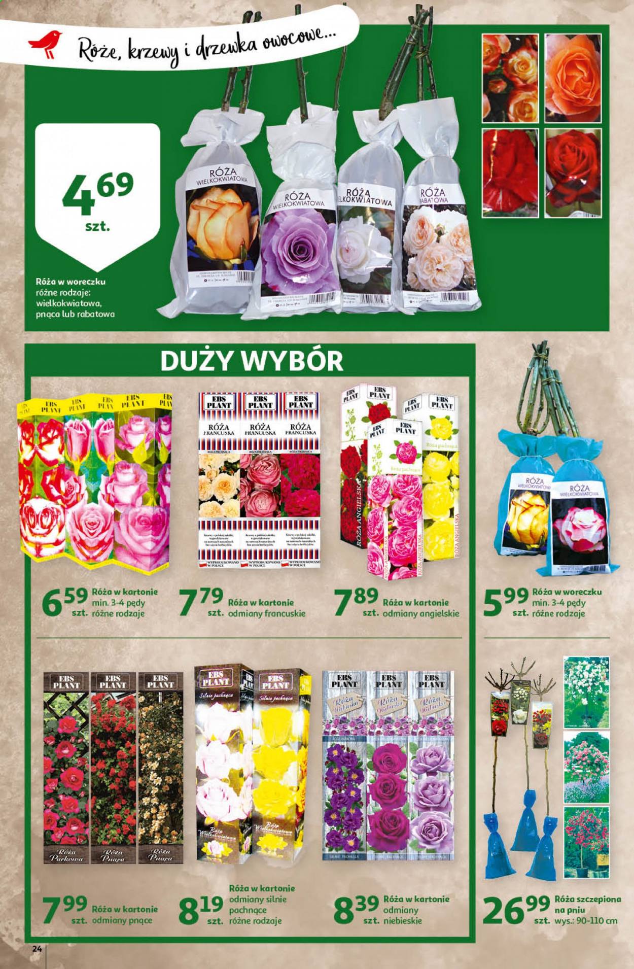Gazetka Auchan - 4.03.2021 - 10.03.2021. Strona 24