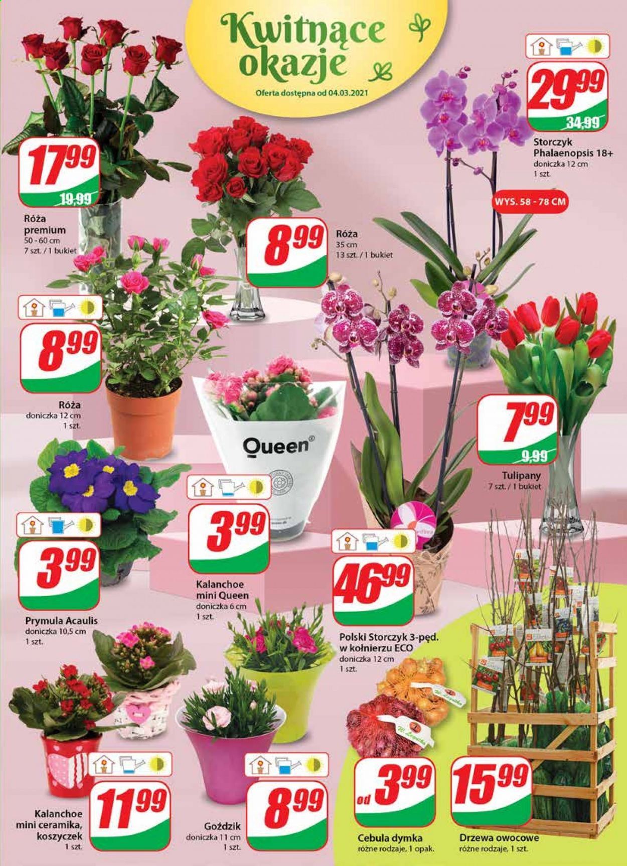 Gazetka Dino - 3.03.2021 - 9.03.2021. Strona 17