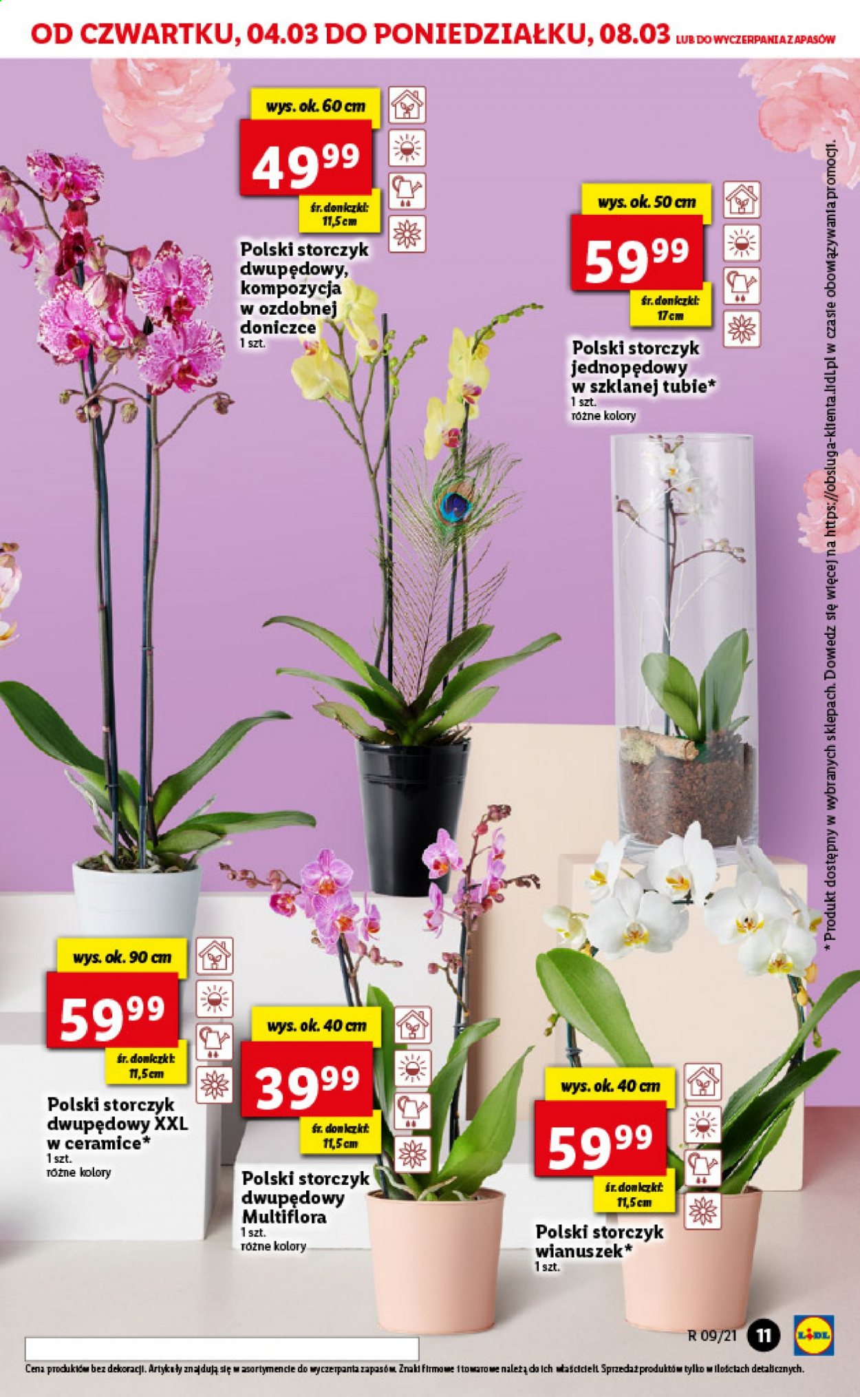 Gazetka Lidl - 4.03.2021 - 6.03.2021. Strona 11