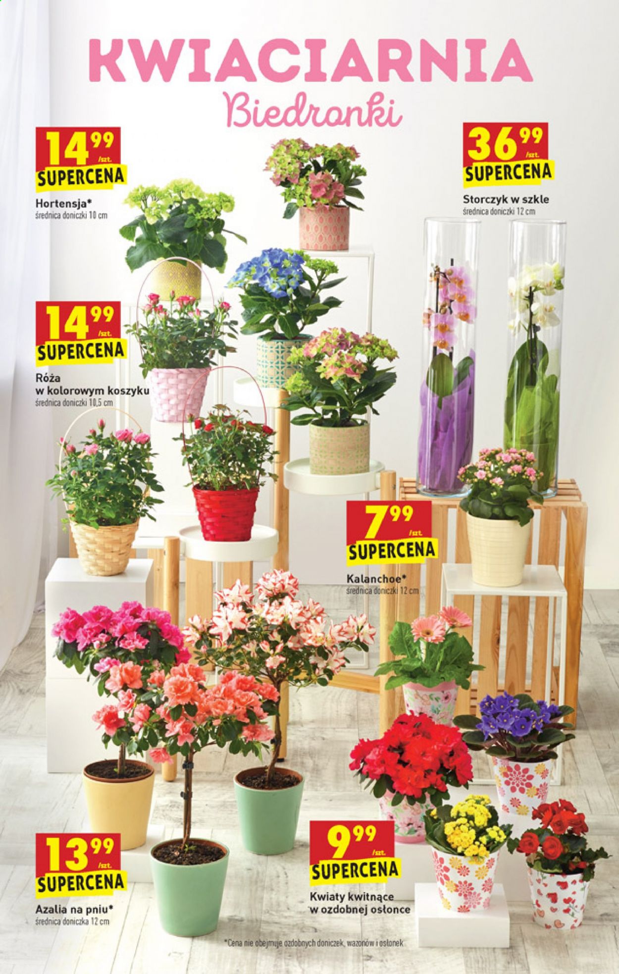 Gazetka Biedronka - 4.03.2021 - 10.03.2021. Strona 64