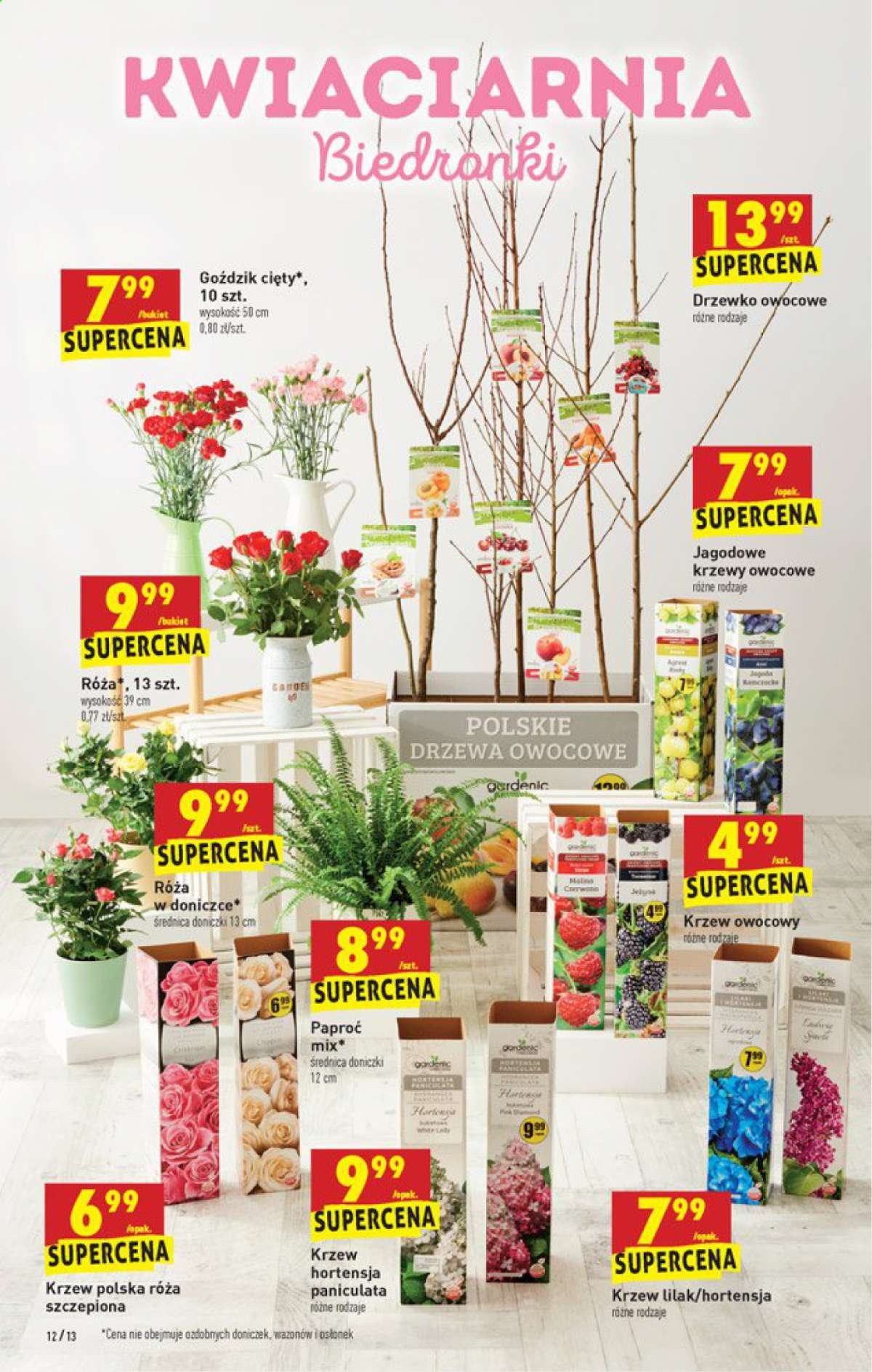 Gazetka Biedronka - 11.03.2021 - 10.03.2021. Strona 12