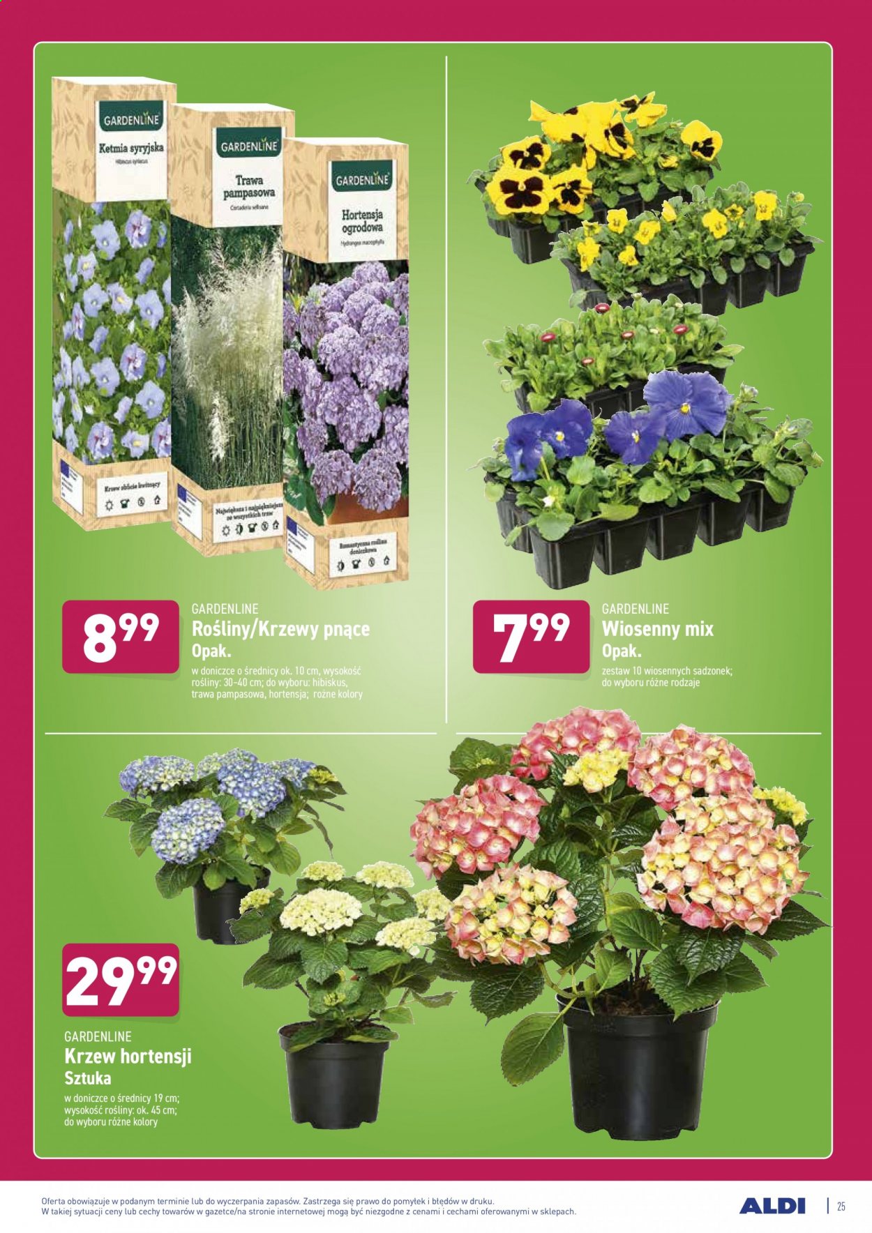 Gazetka ALDI - 15.03.2021 - 20.03.2021. Strona 27