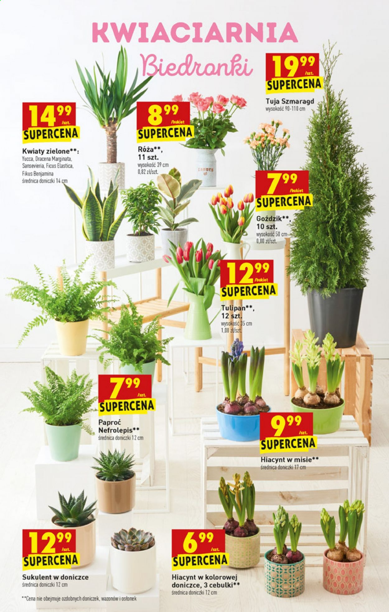 Gazetka Biedronka - 15.03.2021 - 20.03.2021. Strona 61