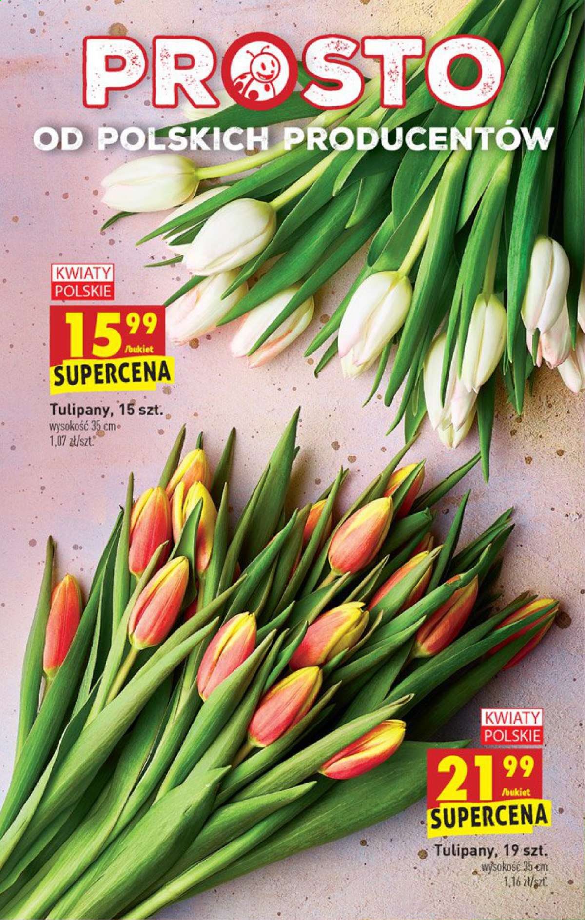 Gazetka Biedronka - 17.03.2021 - 17.03.2021. Strona 61